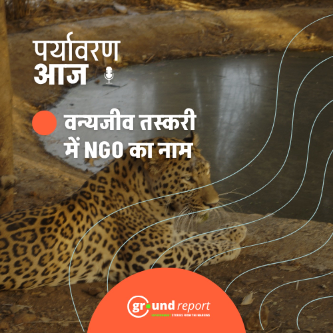 वन्यजीव तस्करी के आरोपियों ने क्यों लिया वाइल्डलाइफ एसओएस का नाम? episode artwork
