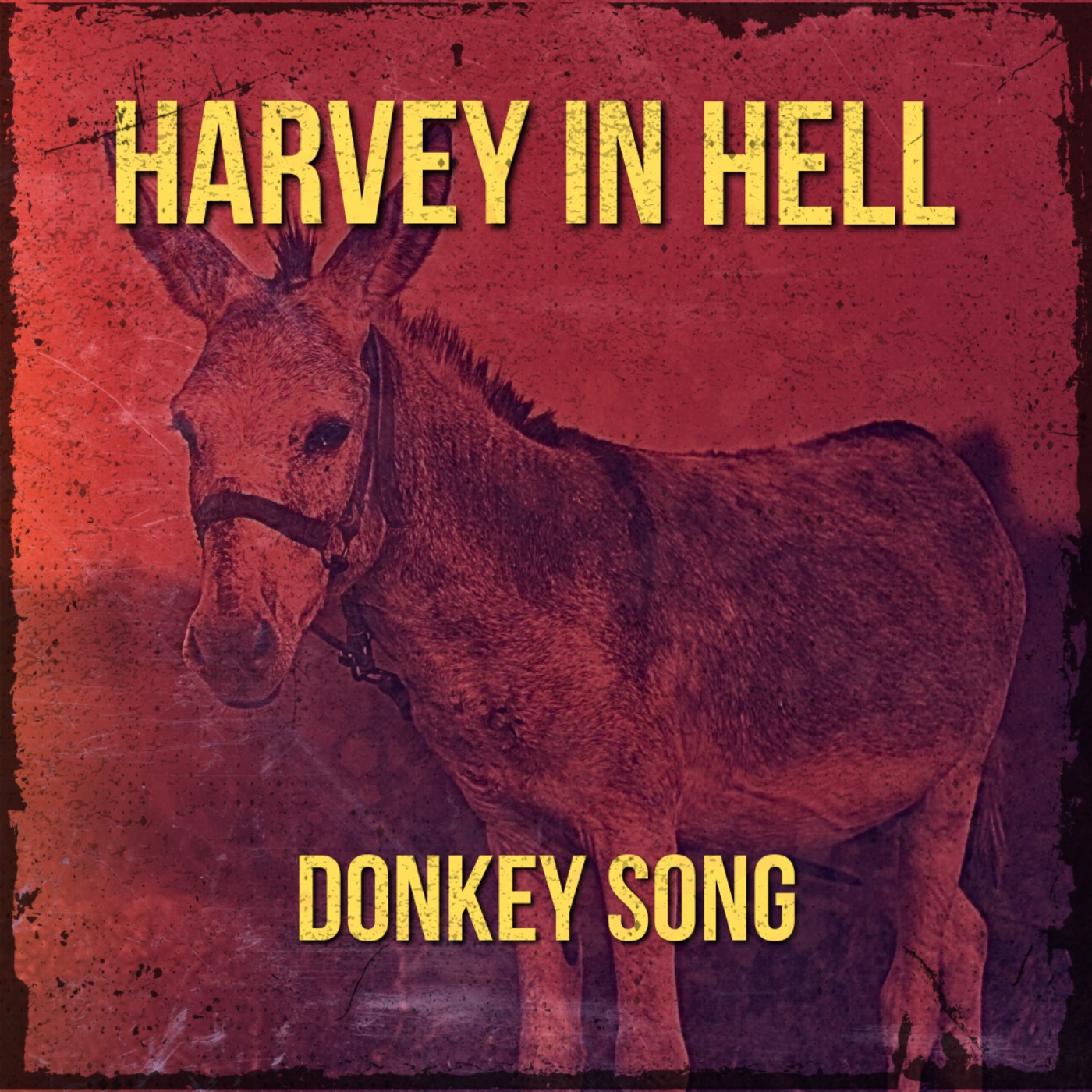 16. Donkey Song episode artwork