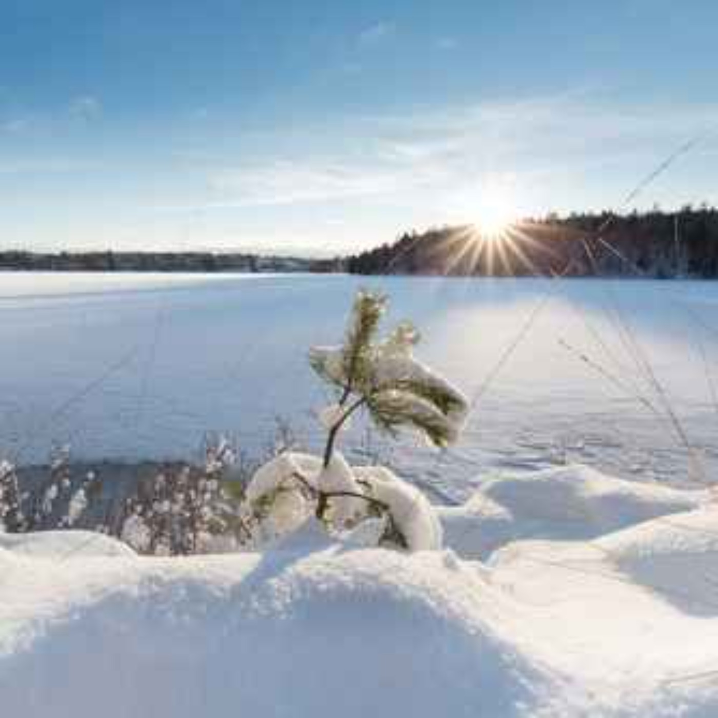 Ep. 54 - Kuldesjokk: Når er det faktisk for kaldt for barn ute?