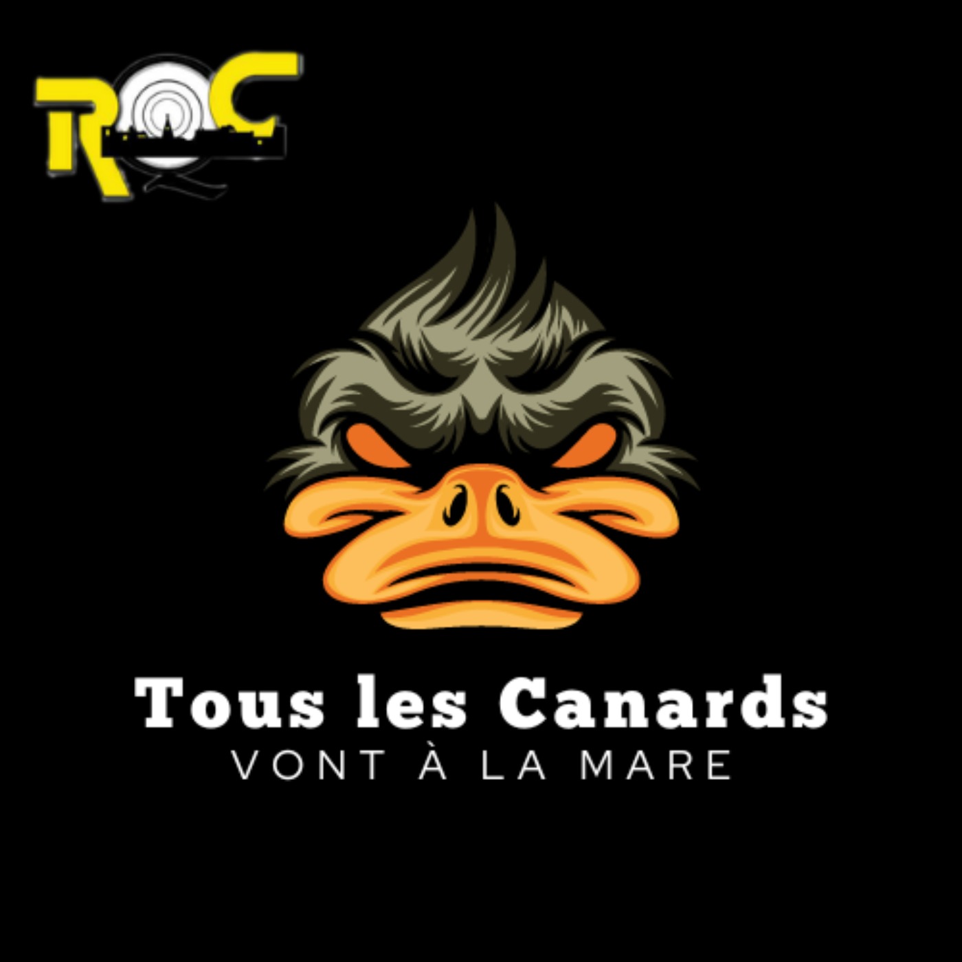 Tous les canards vont à la mare 14-09-25 episode artwork