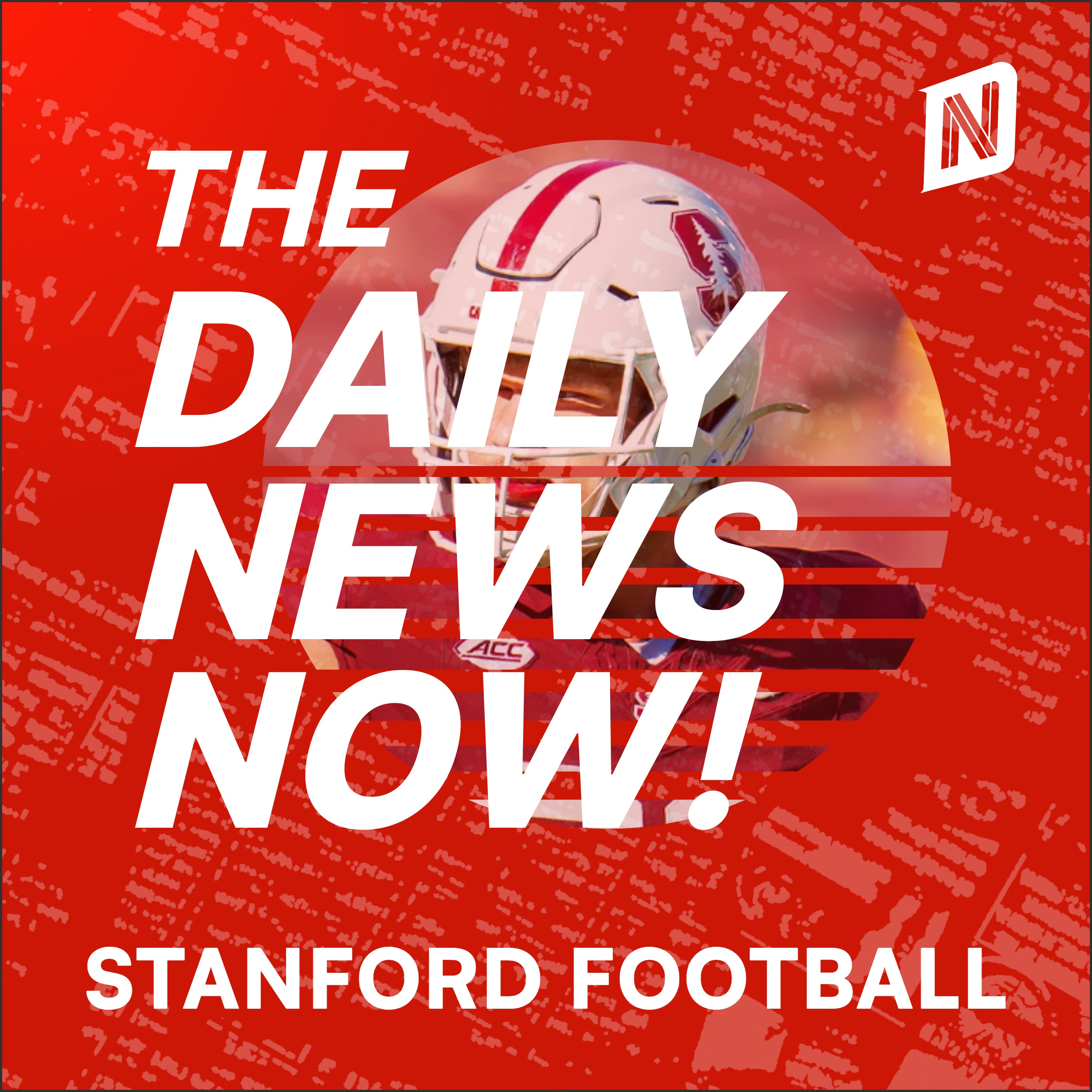 Stanford Cardinal Football Today | 2 Min News | The Daily New Now!