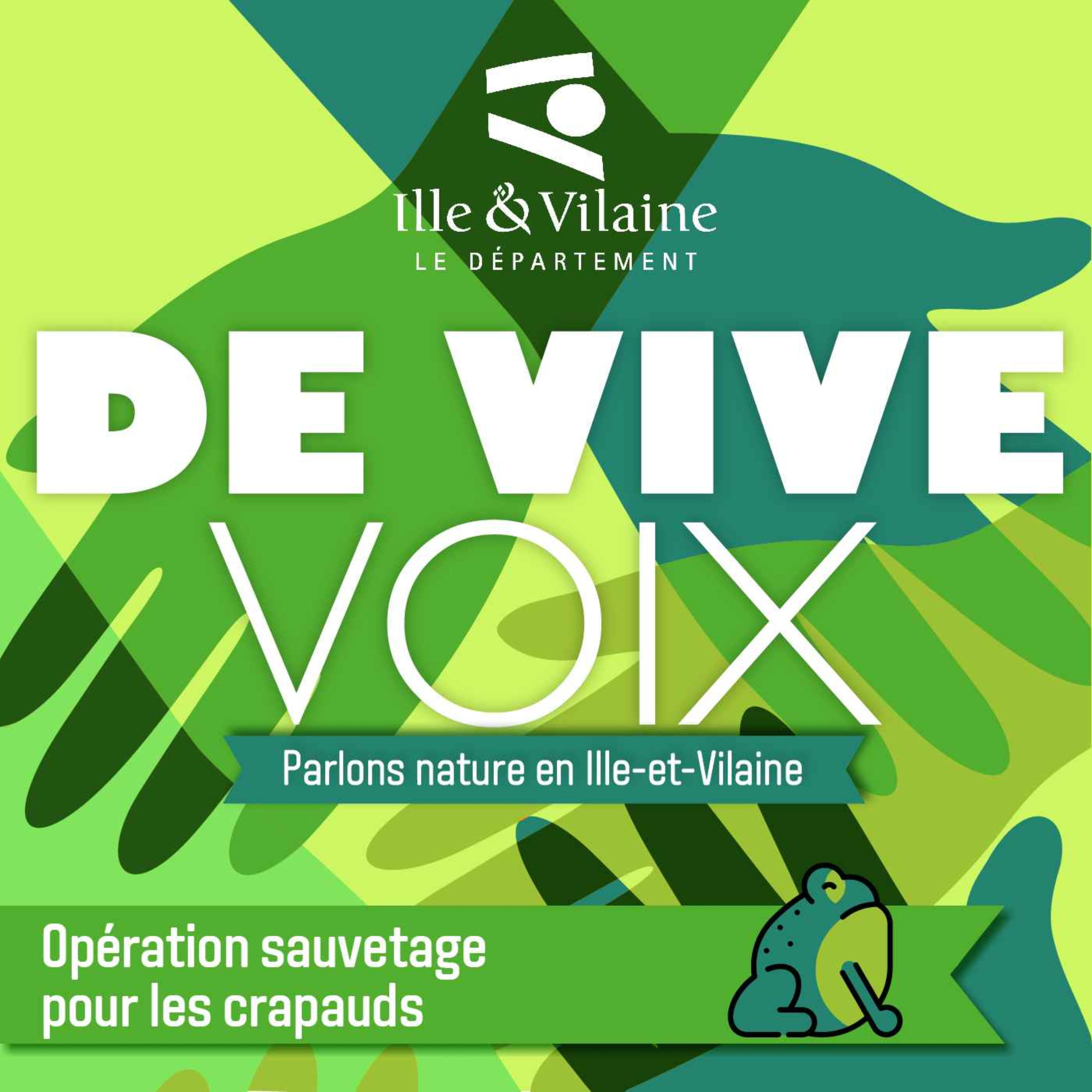 De vive voix : des amphibiens sous bonne escorte episode artwork