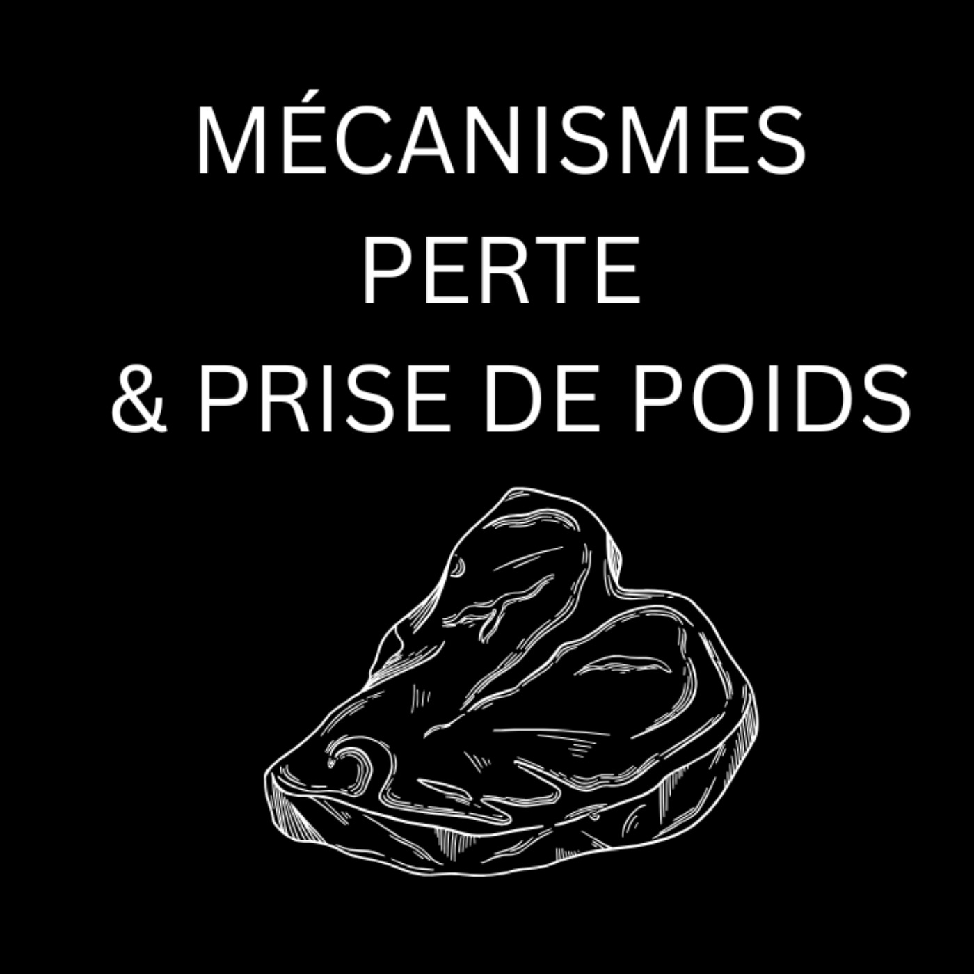 Mécanismes De La Prise & De La Perte De Poids episode artwork
