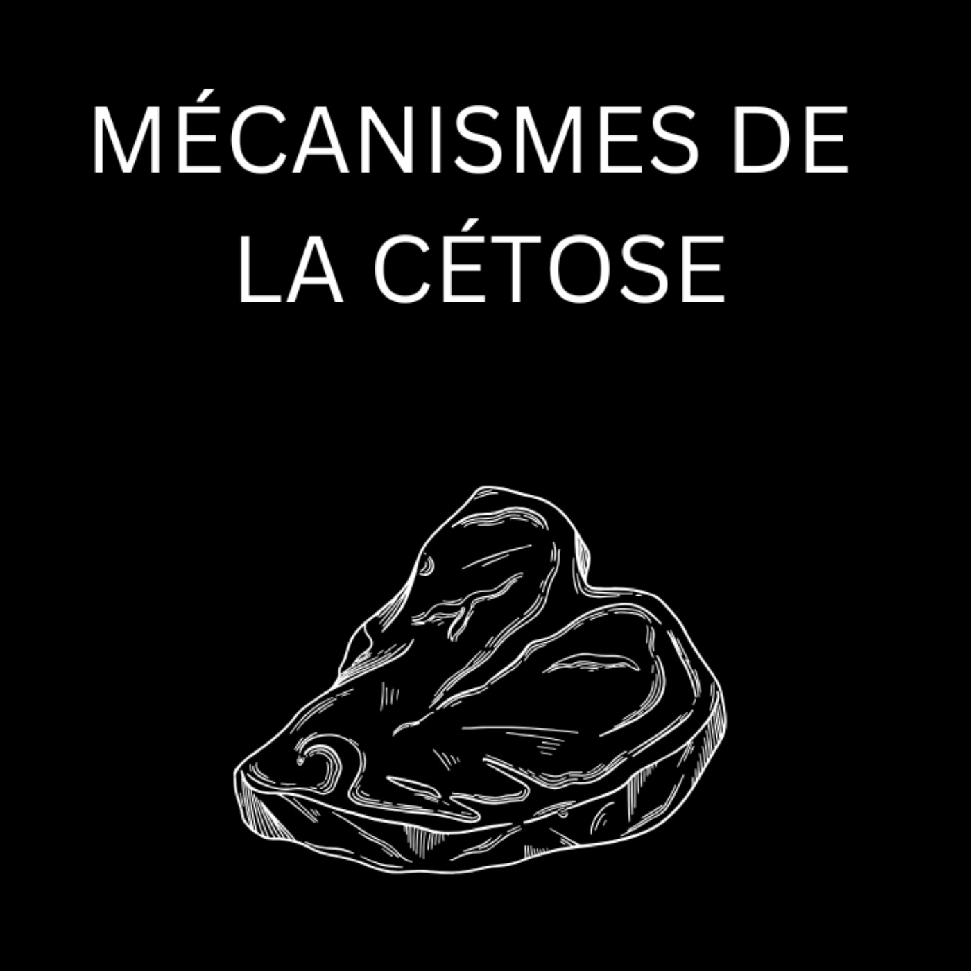 Mécanismes De La Cétose, Système Immunitaire & Faim episode artwork