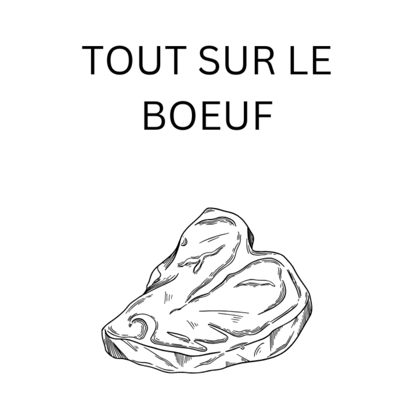 Quelle Est La Meilleure Pièce De Boeuf ? episode artwork
