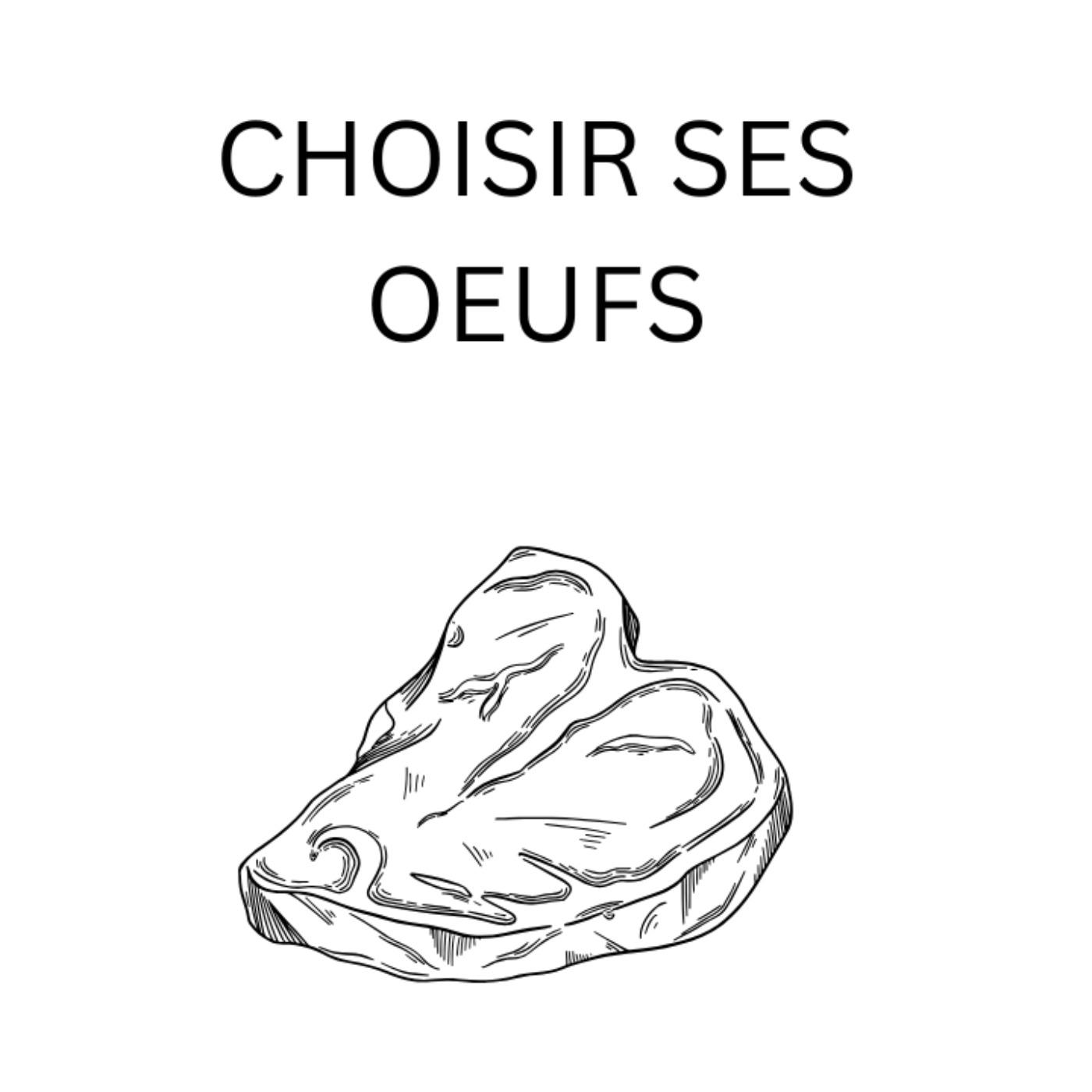 Comment Choisir Ses Oeufs ? episode artwork