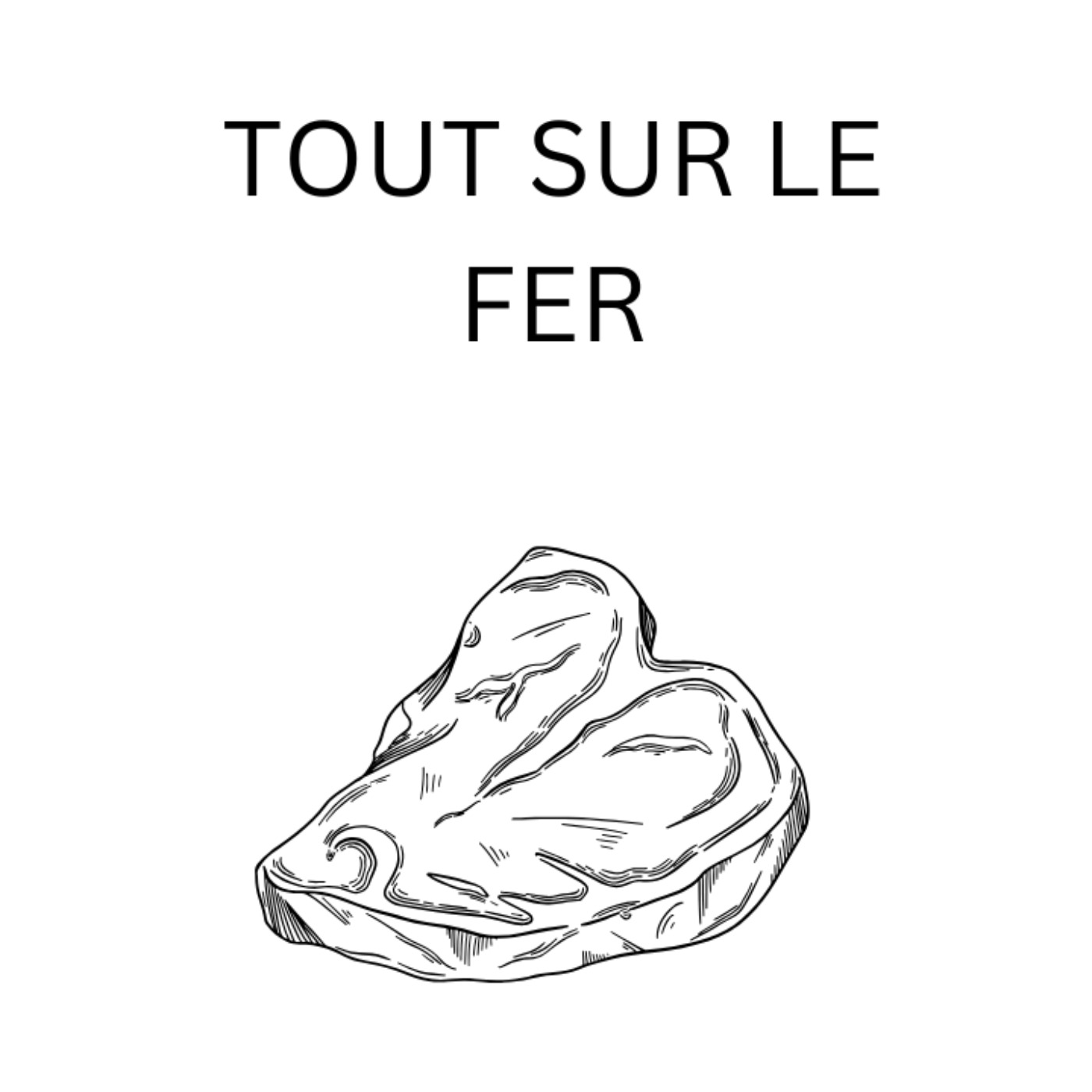 Tout Savoir Sur Le Fer episode artwork