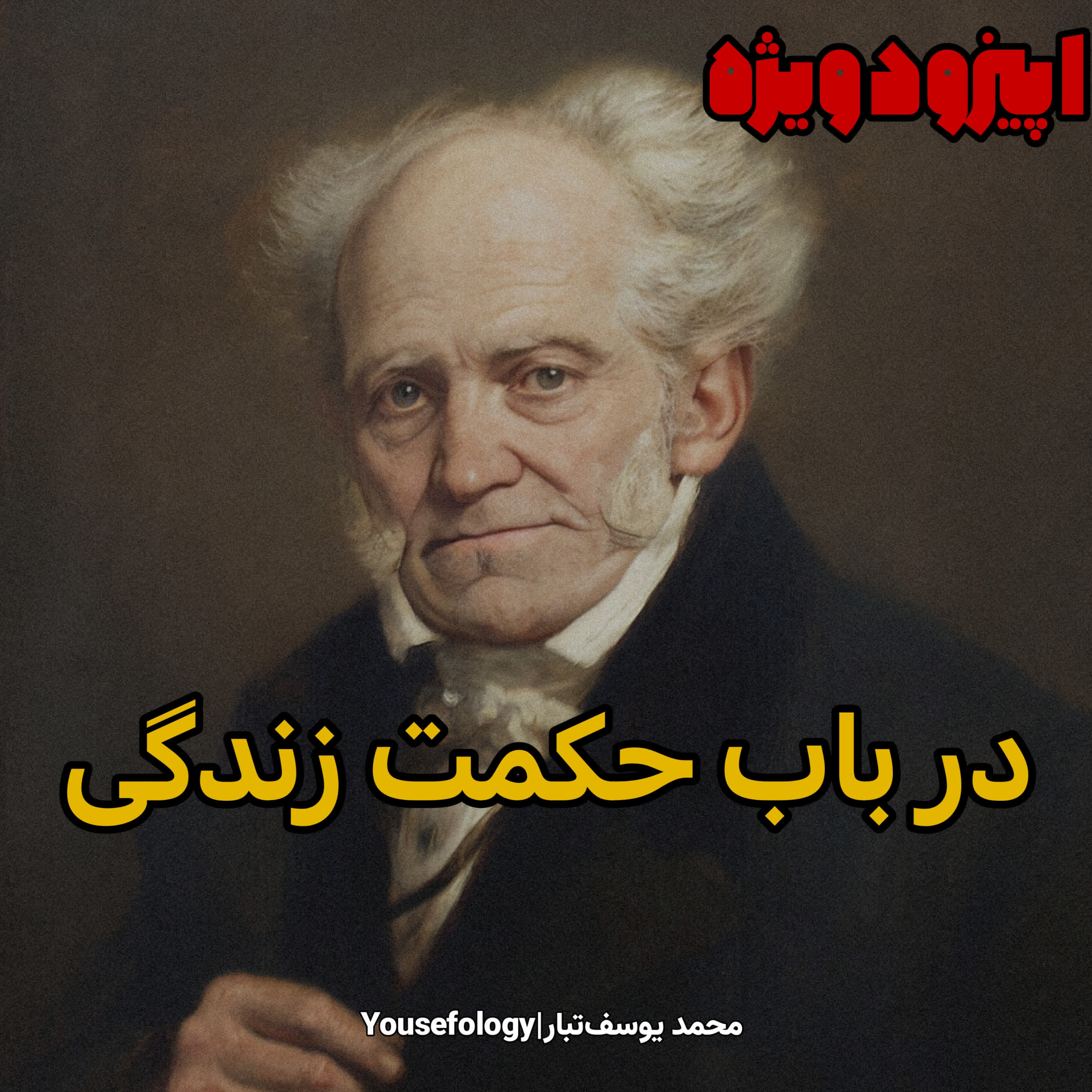 اپیزود ویژه|خلاصه و معرفی کتاب در باب حکمت زندگی - آرتور شوپنهاور episode artwork
