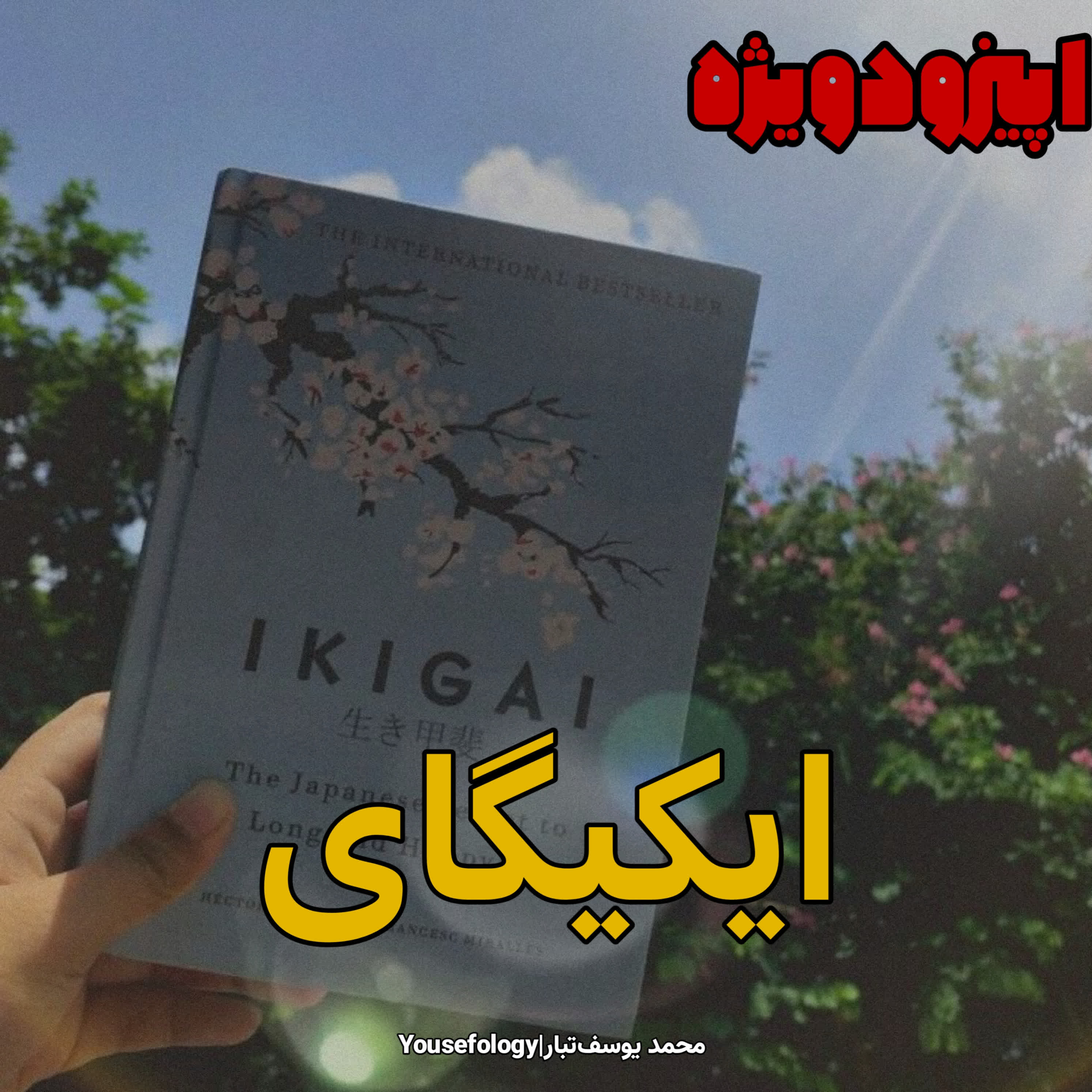 اپیزود ویژه|خلاصه و معرفی کتاب ایکیگای episode artwork