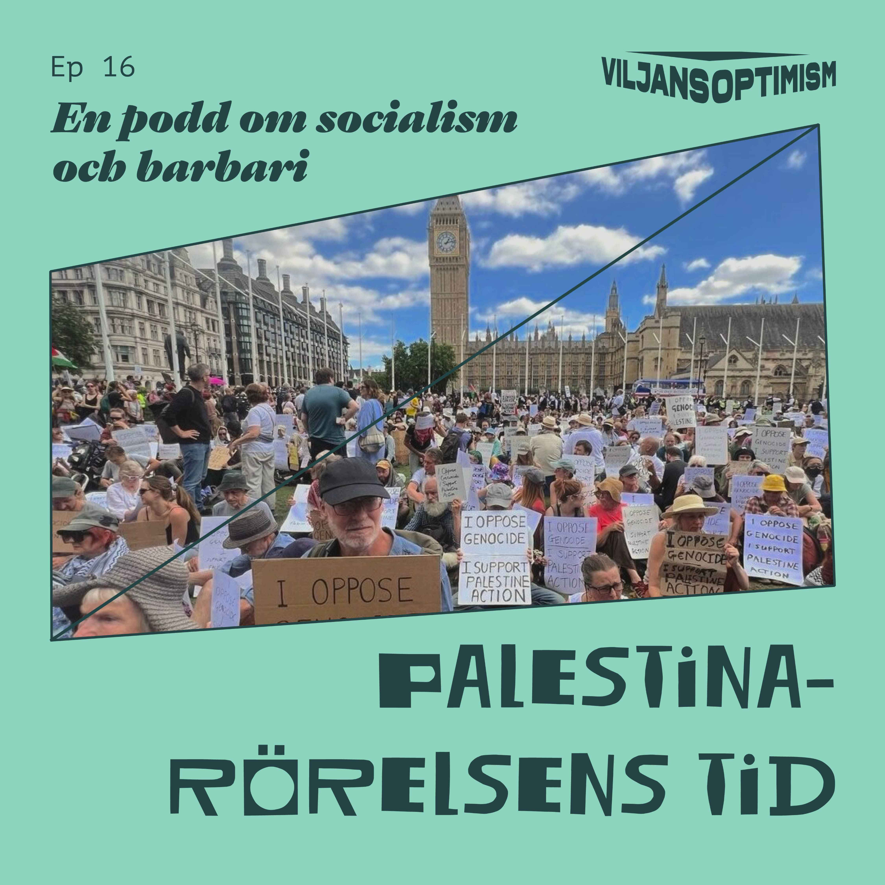16. Palestinarörelsens tid episode artwork