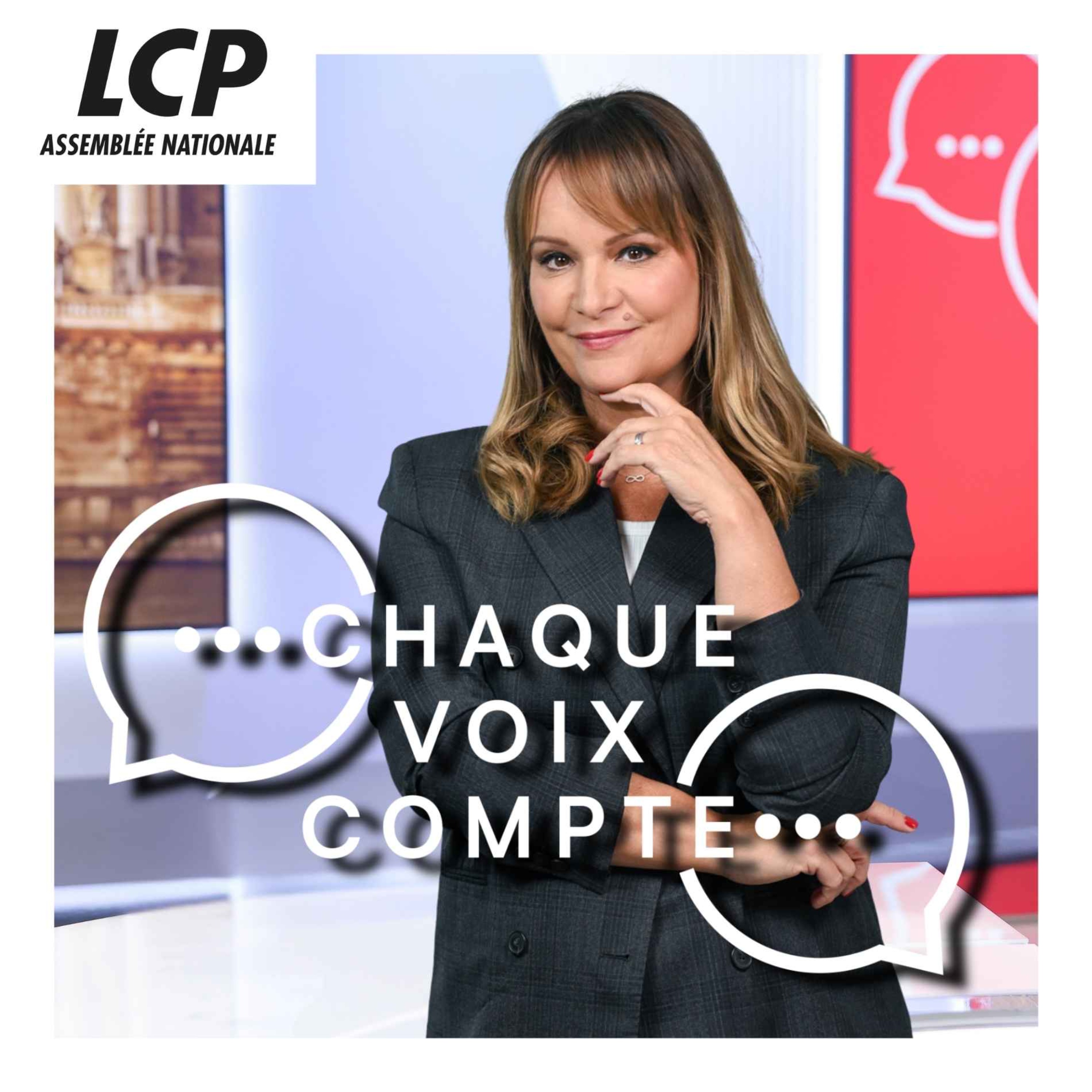 Illustration du podcast Chaque voix compte