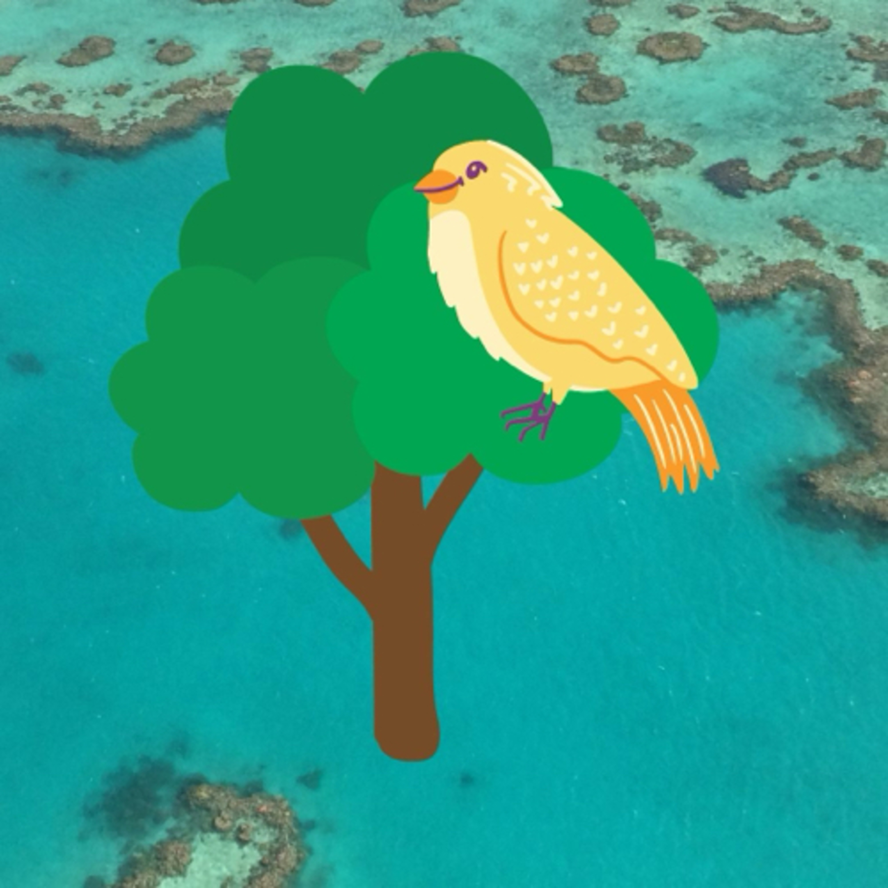 Yaelle et le canari merveilleux