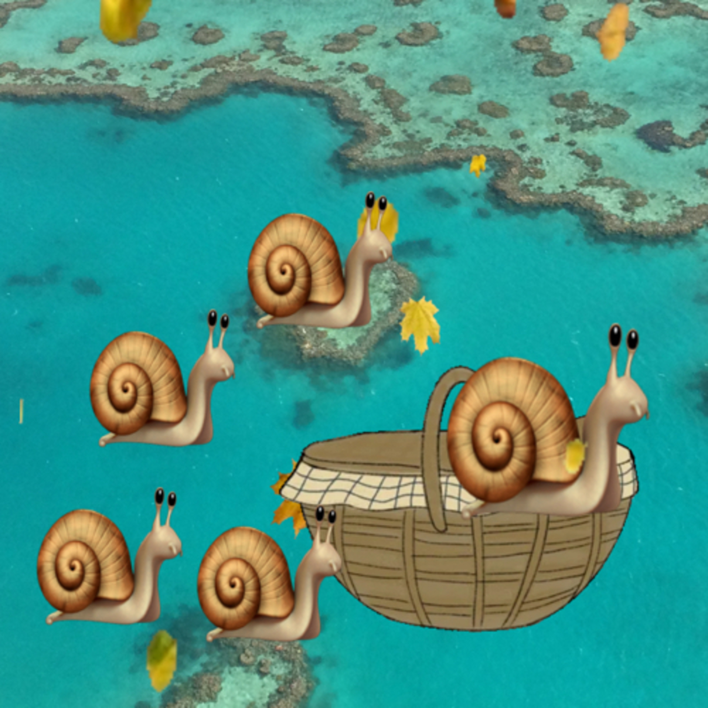 Les escargots du jardin de Mamie
