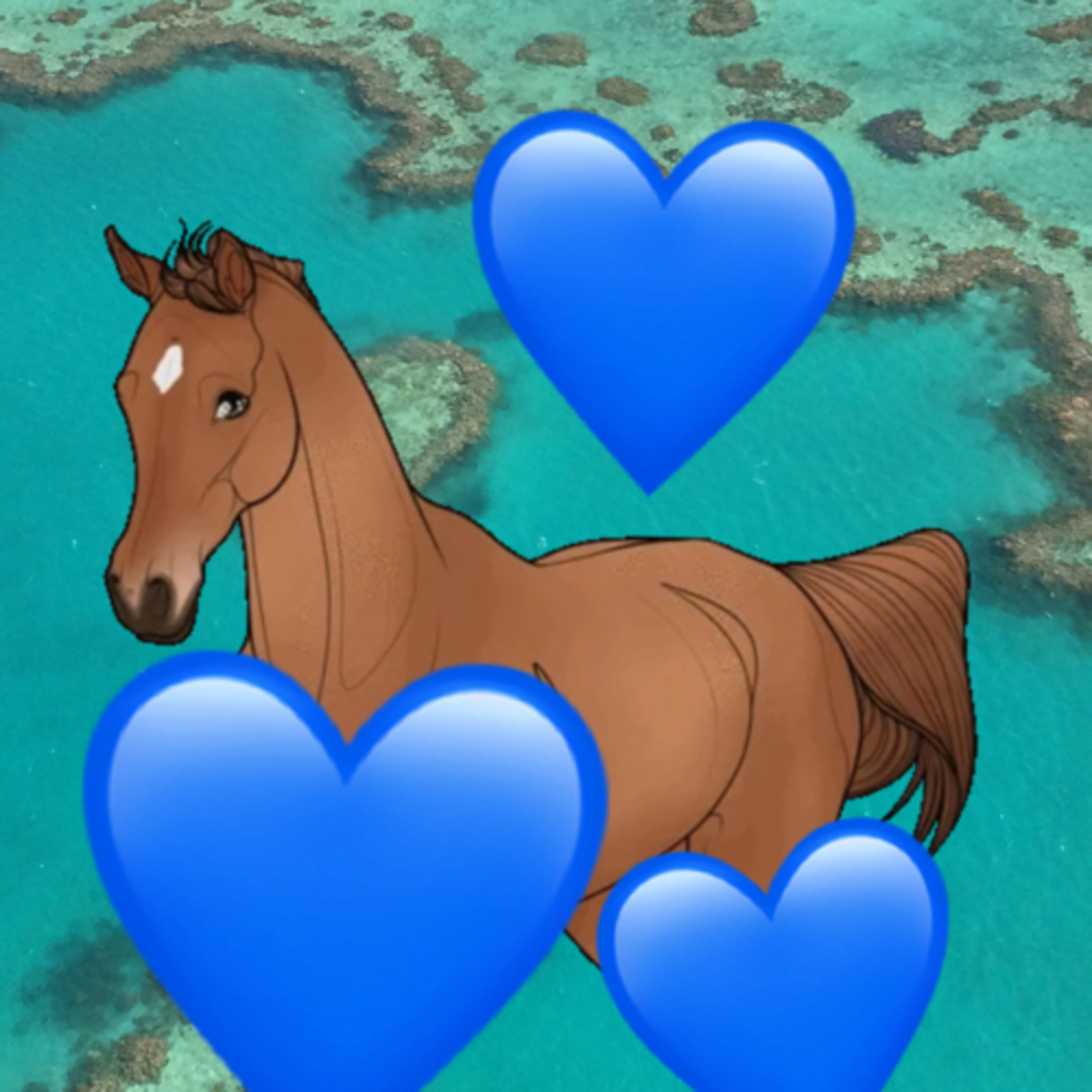 Galopin, le cheval magnifique