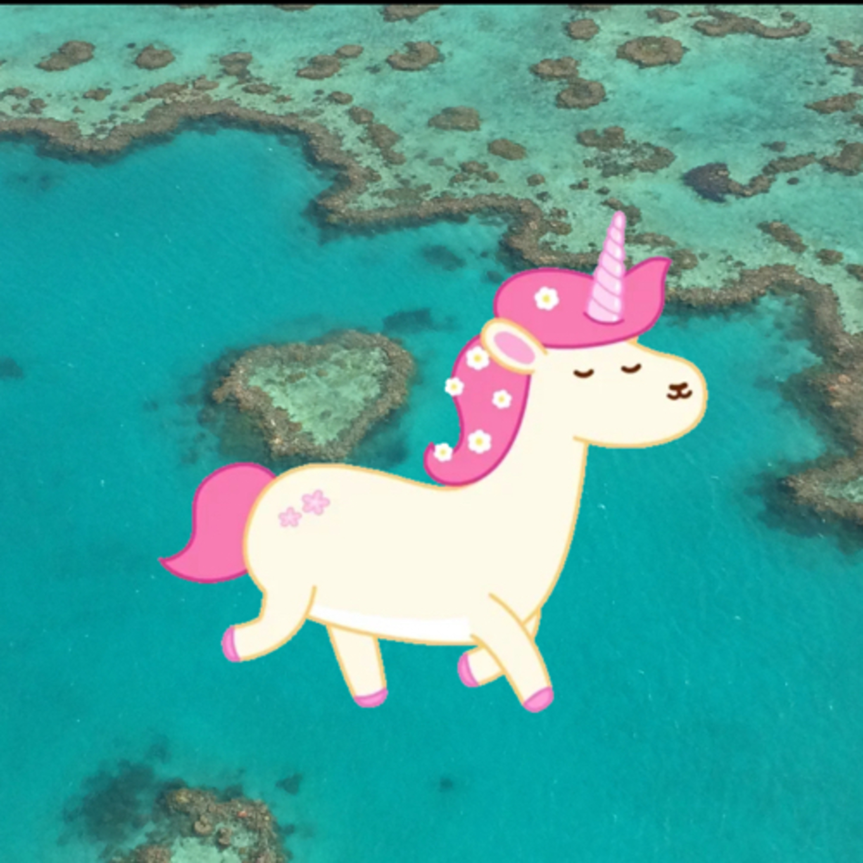 La licorne qui voulait voler