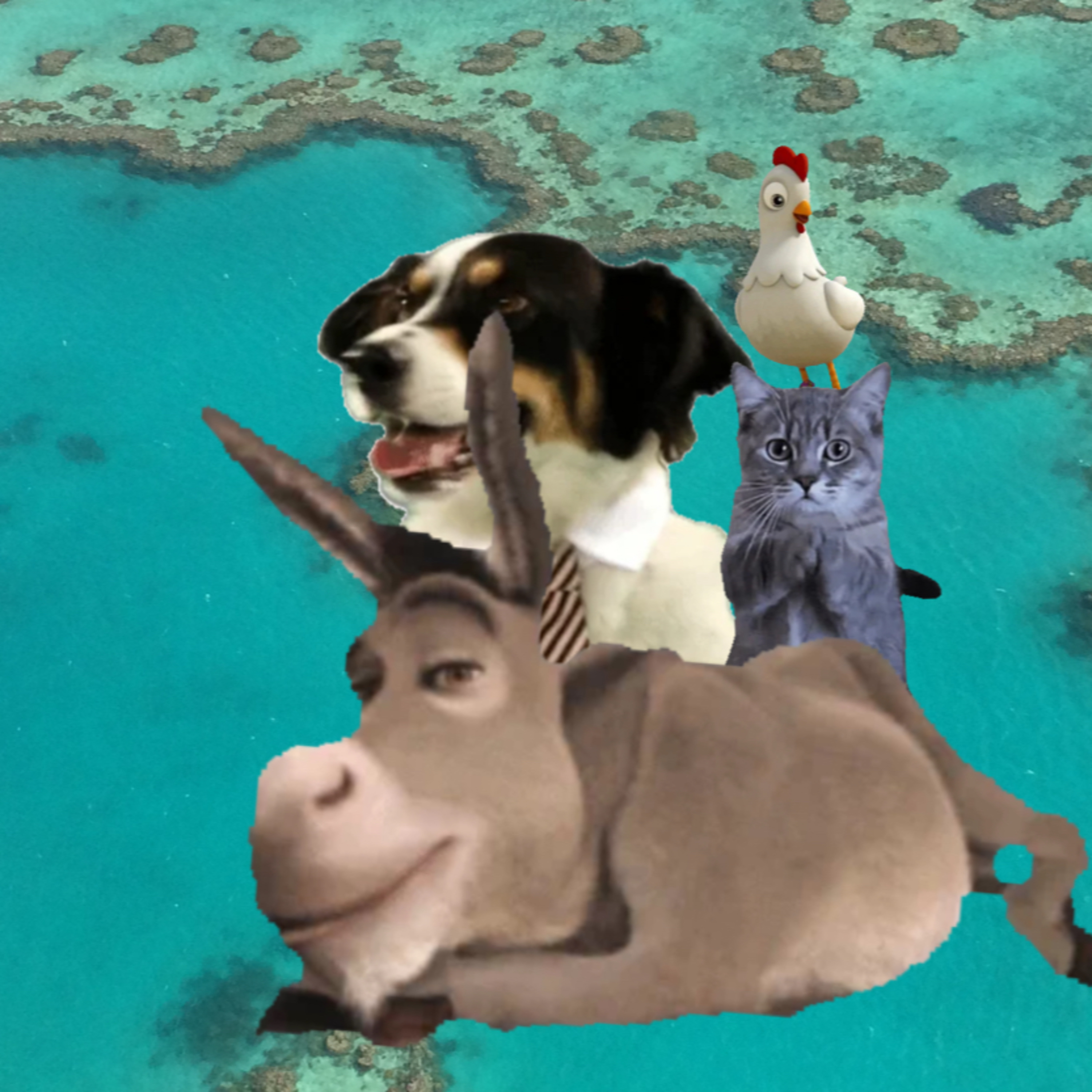 L'âne, le chien, le chat et le coq
