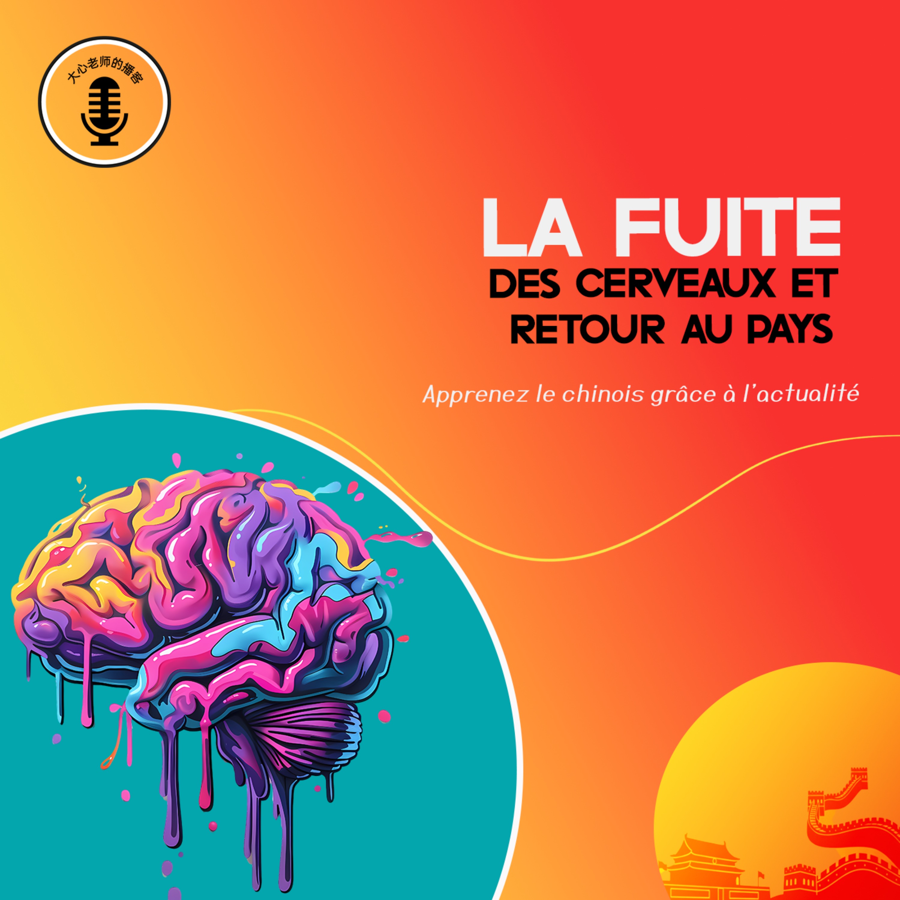 La Fuite des cerveaux et le retour au pays episode artwork