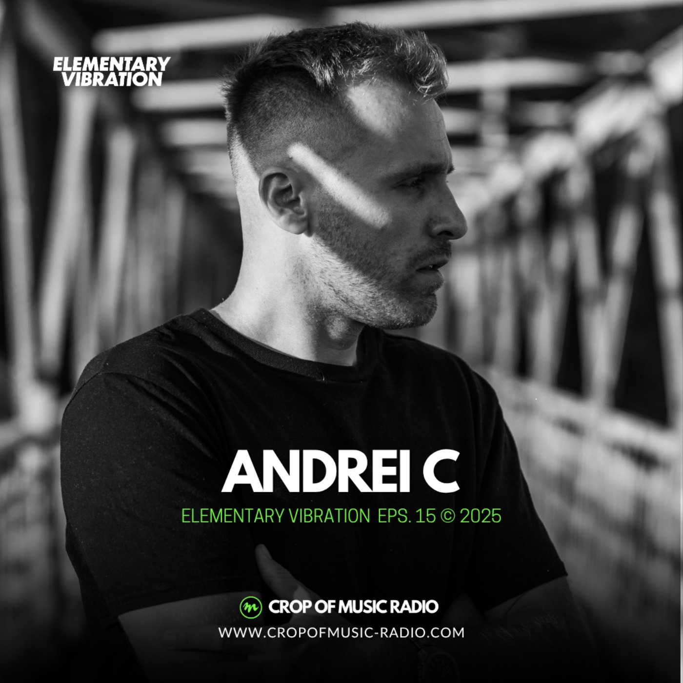 Elementary Vibrations 015 - Andrei C episode artwork