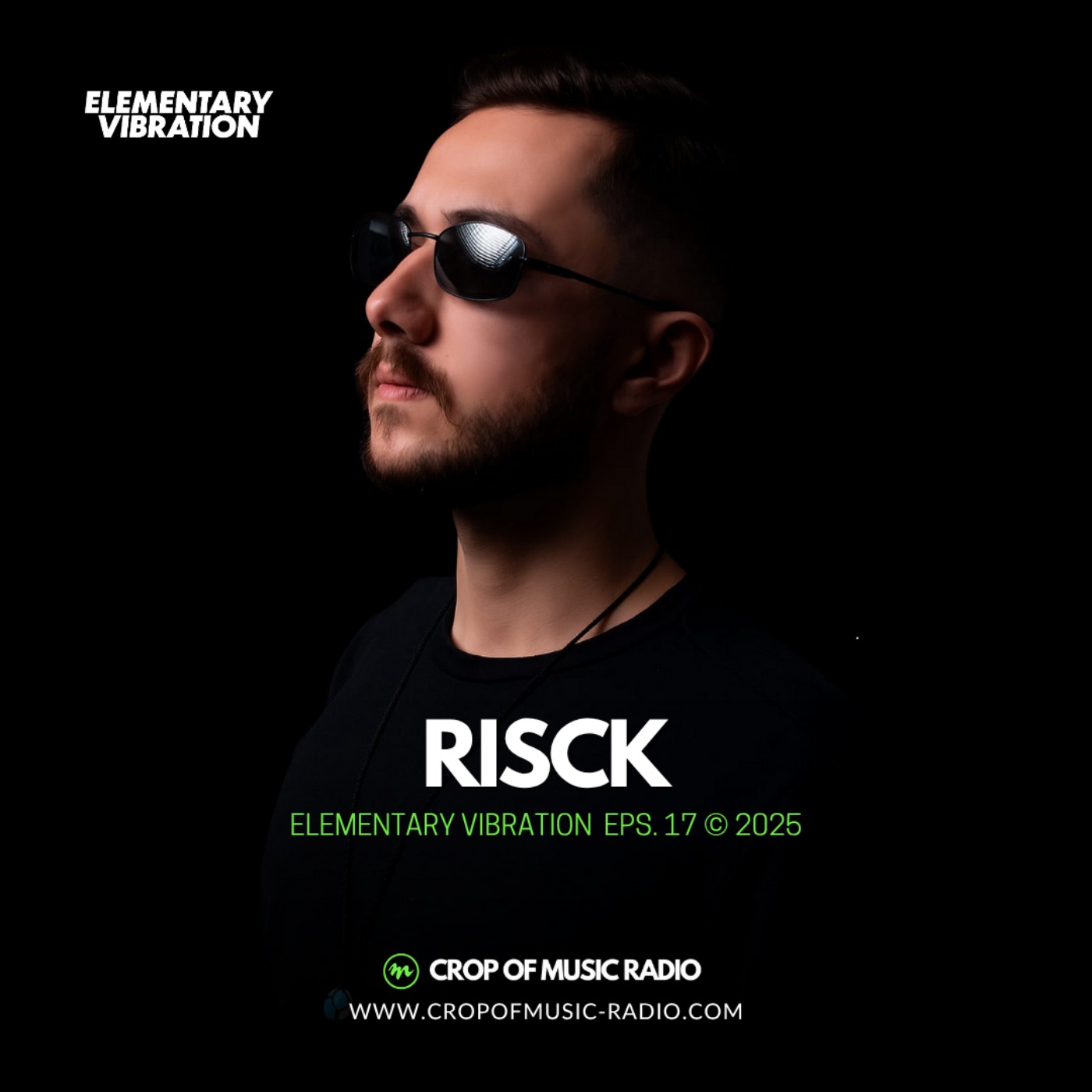 Elementary Vibrations 017 - Risck episode artwork