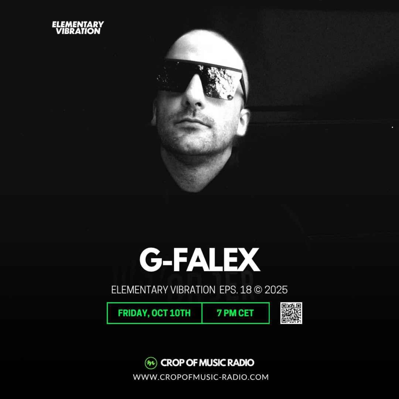 Elementary Vibrations 019 - G-Falex episode artwork