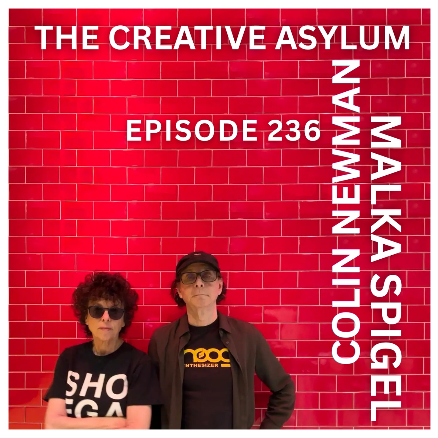 Colin Newman & Malka Spigel - EP236 - The Creative Asylum episode artwork