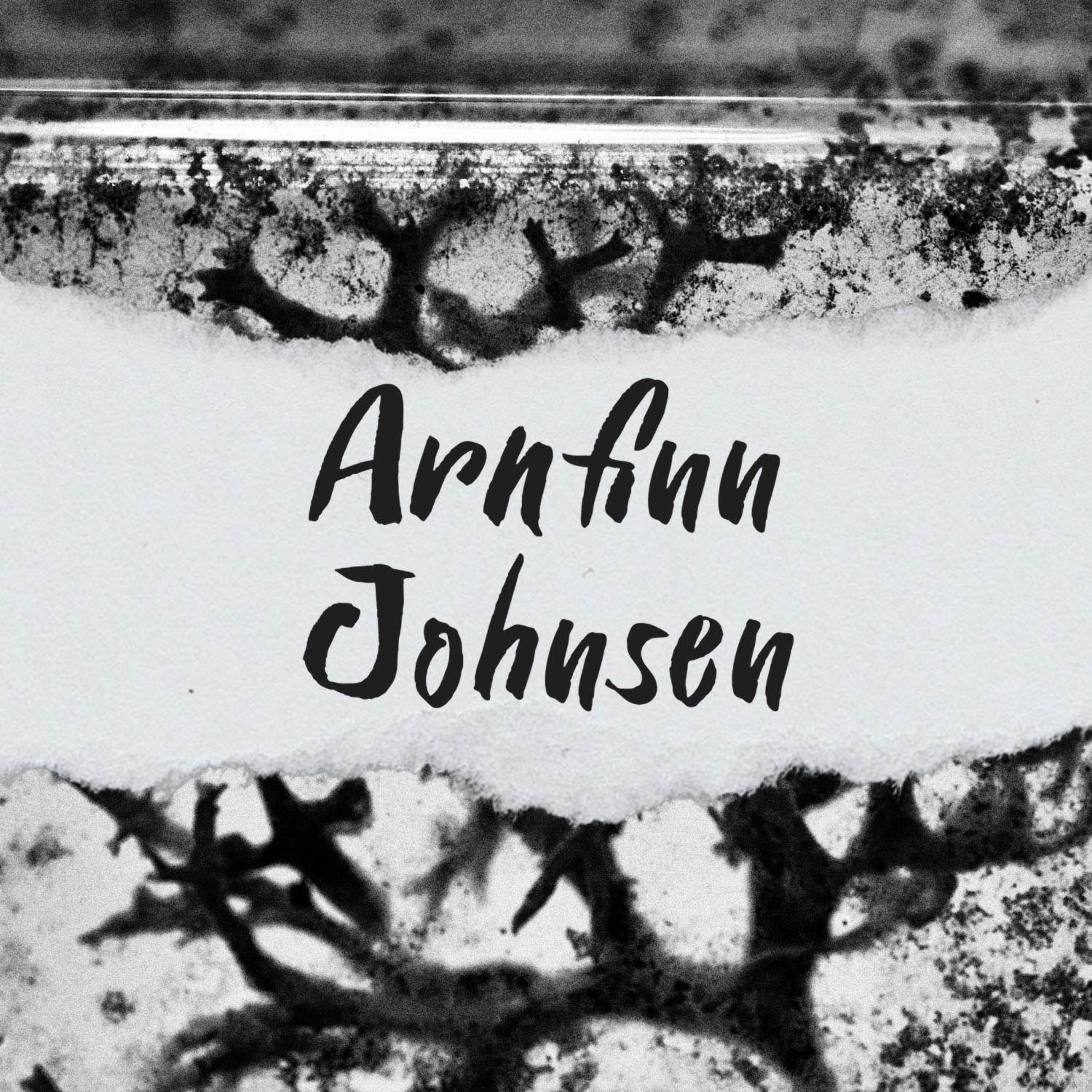 Arnfinn Johnsen episode artwork