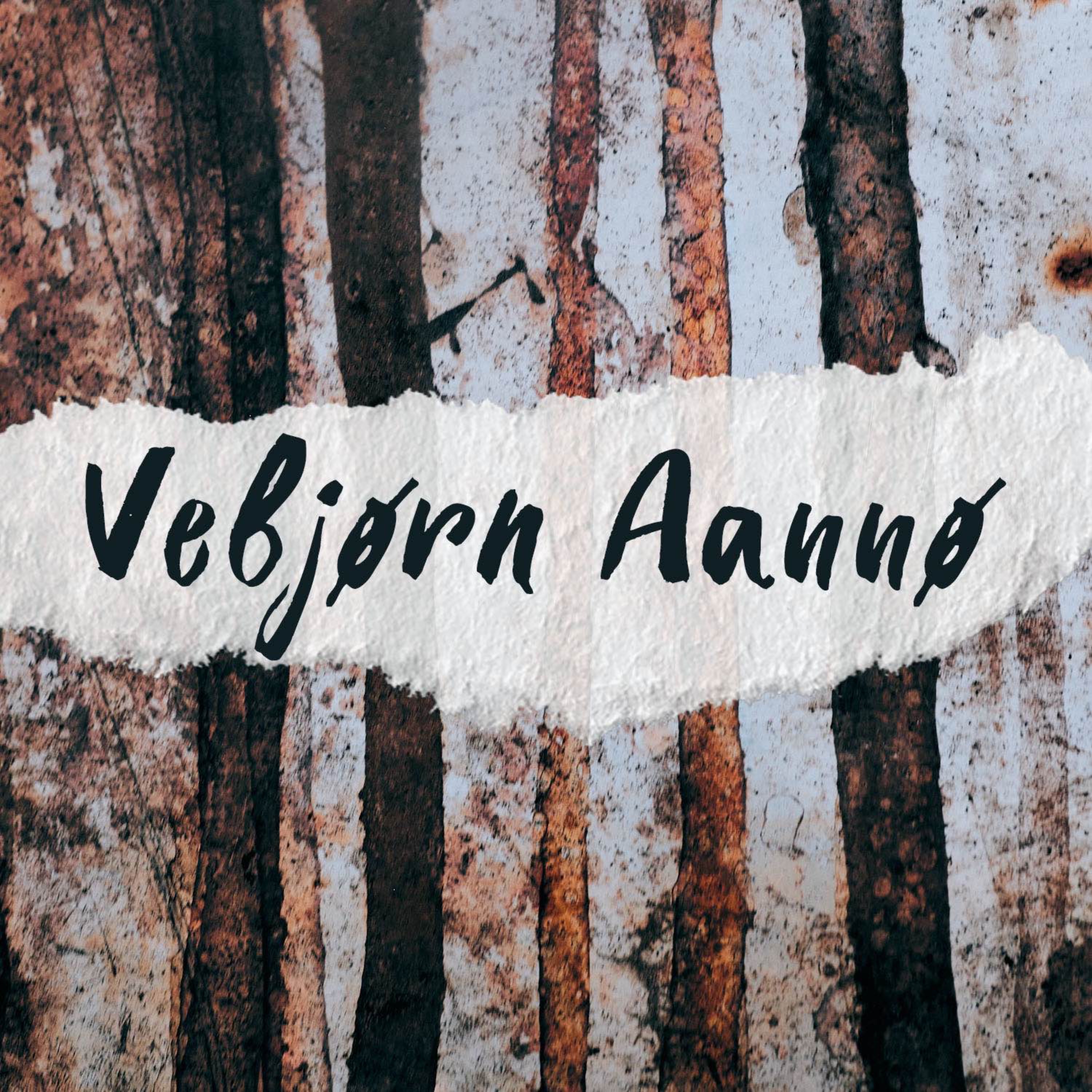 Vebjørn Aannø episode artwork