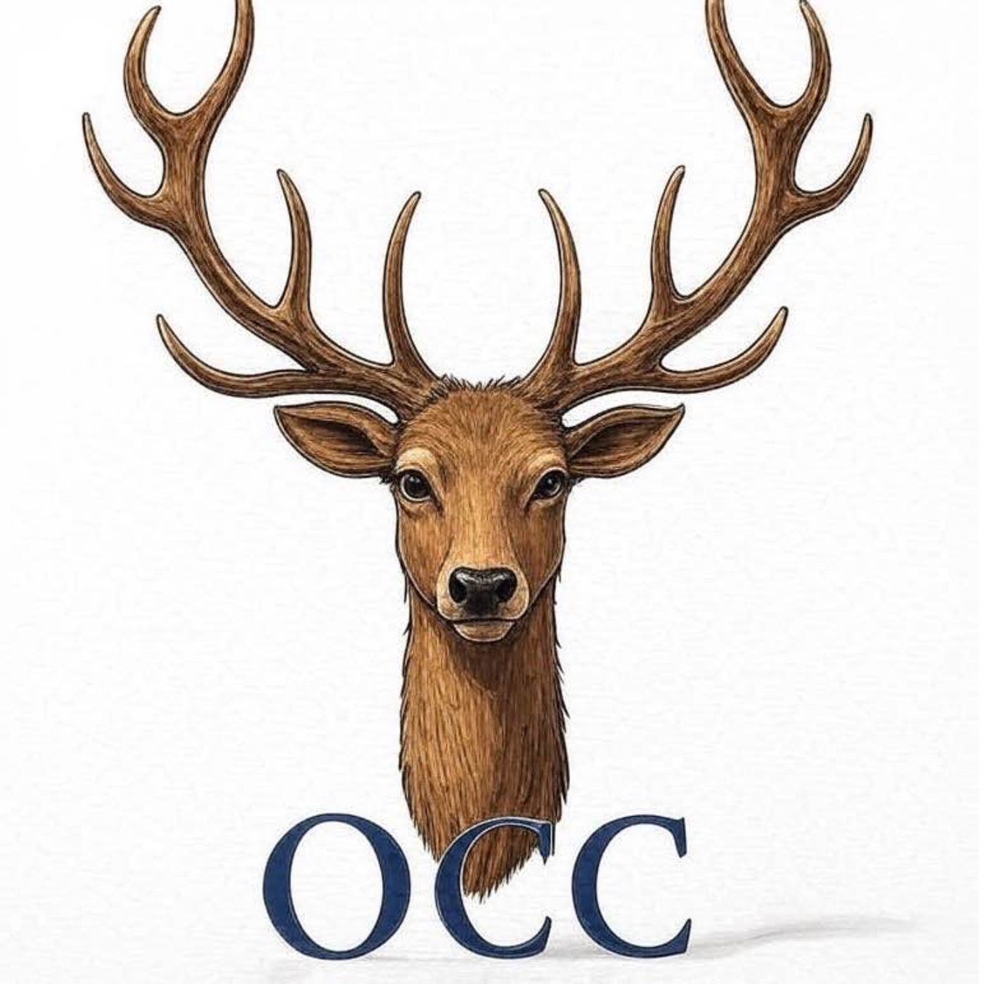The OCC pod