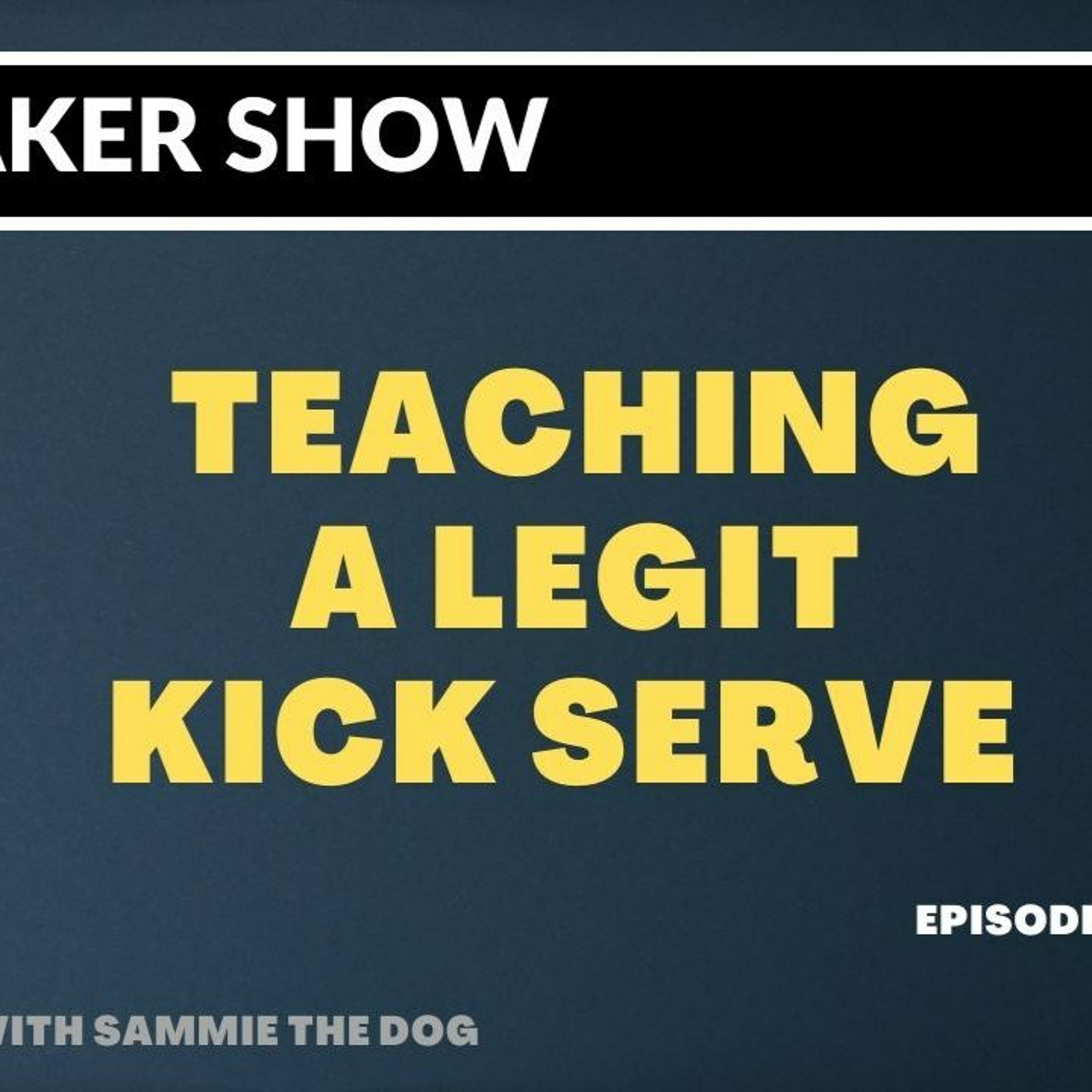 The Prodigy Maker Tennis Show