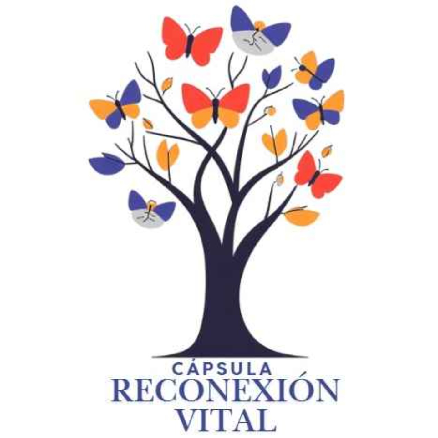 Busca ocasiones para reunirte en familia episode artwork