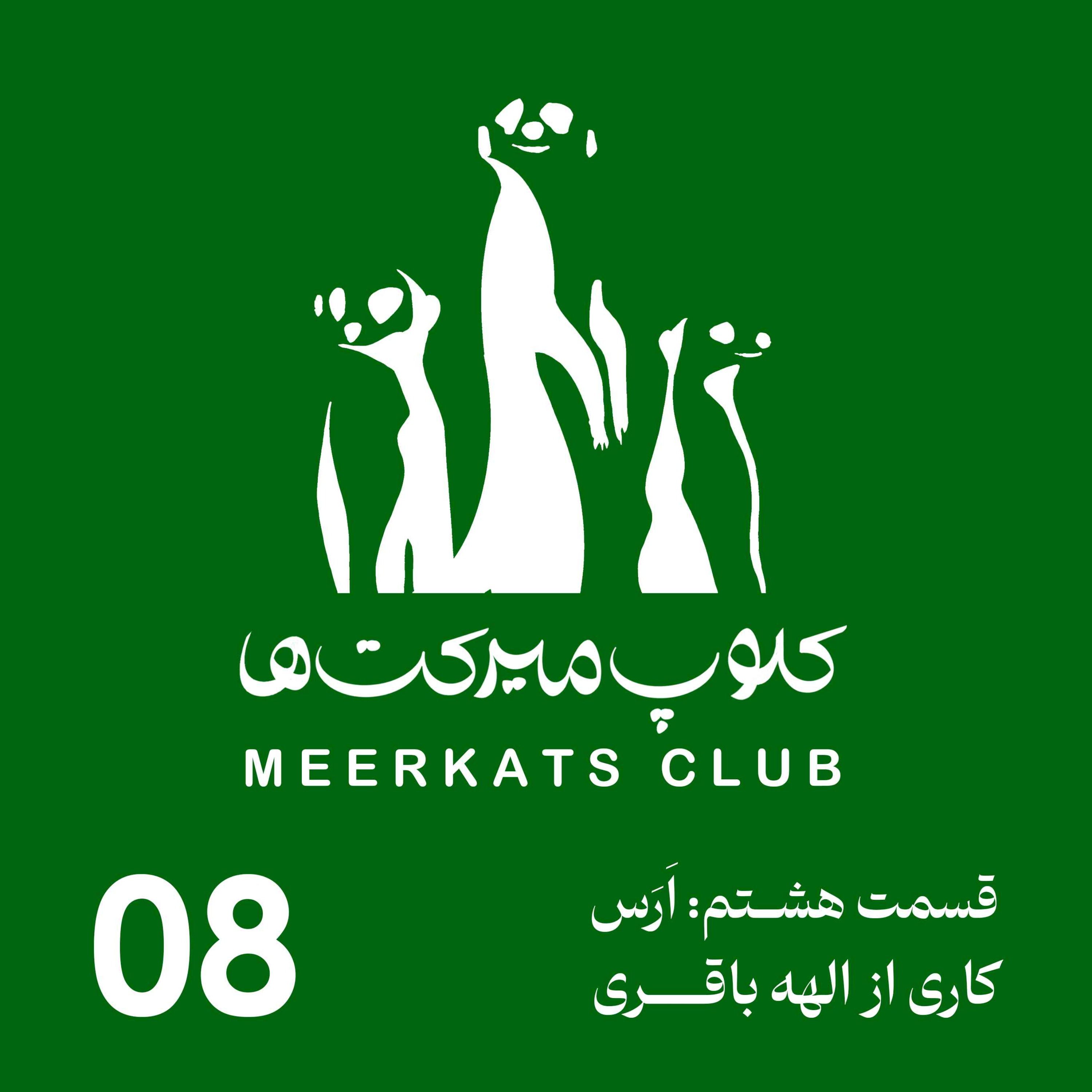 قسمت هشتم - اَرس episode artwork