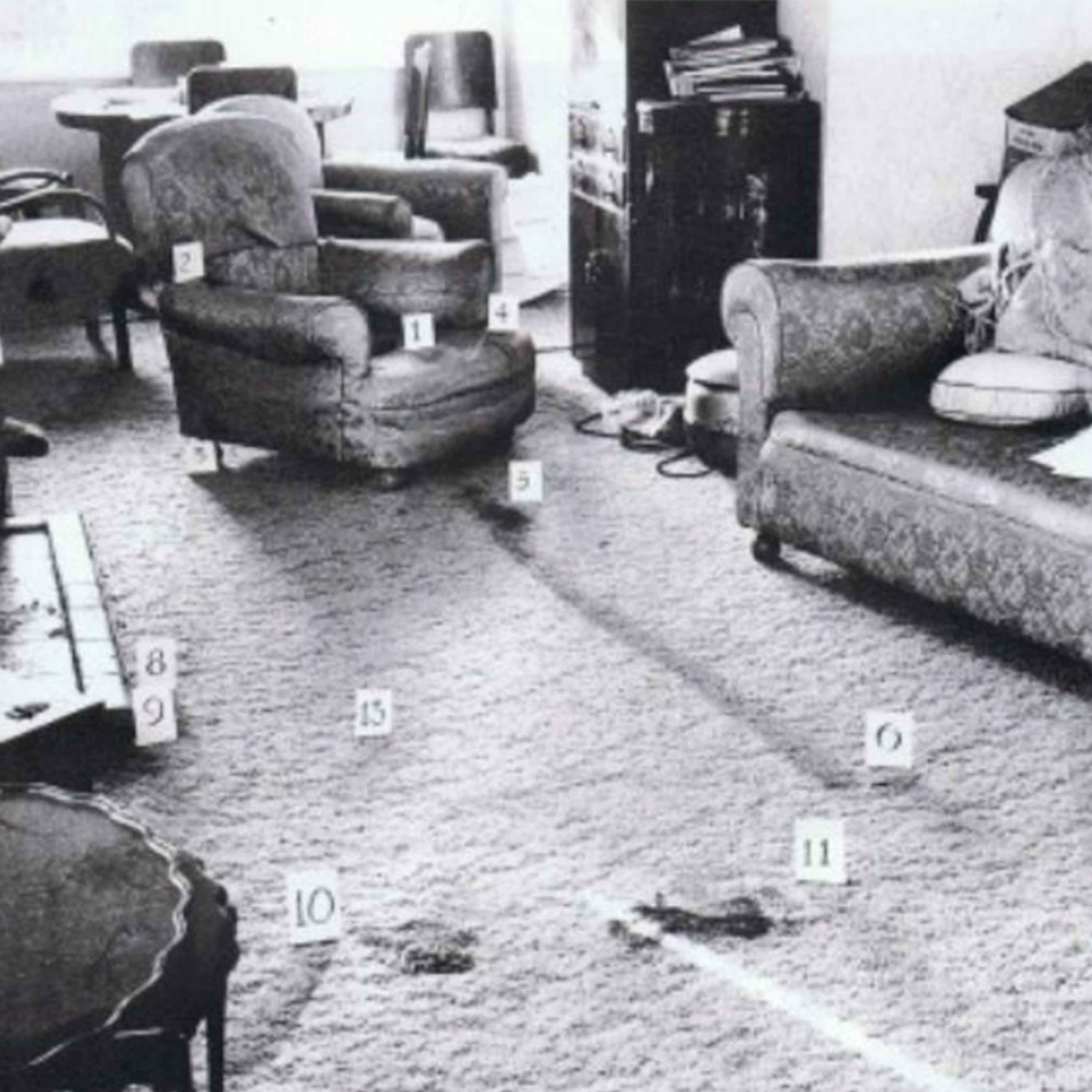 The Veil - A True Crime Podcast with Ryan Wolf