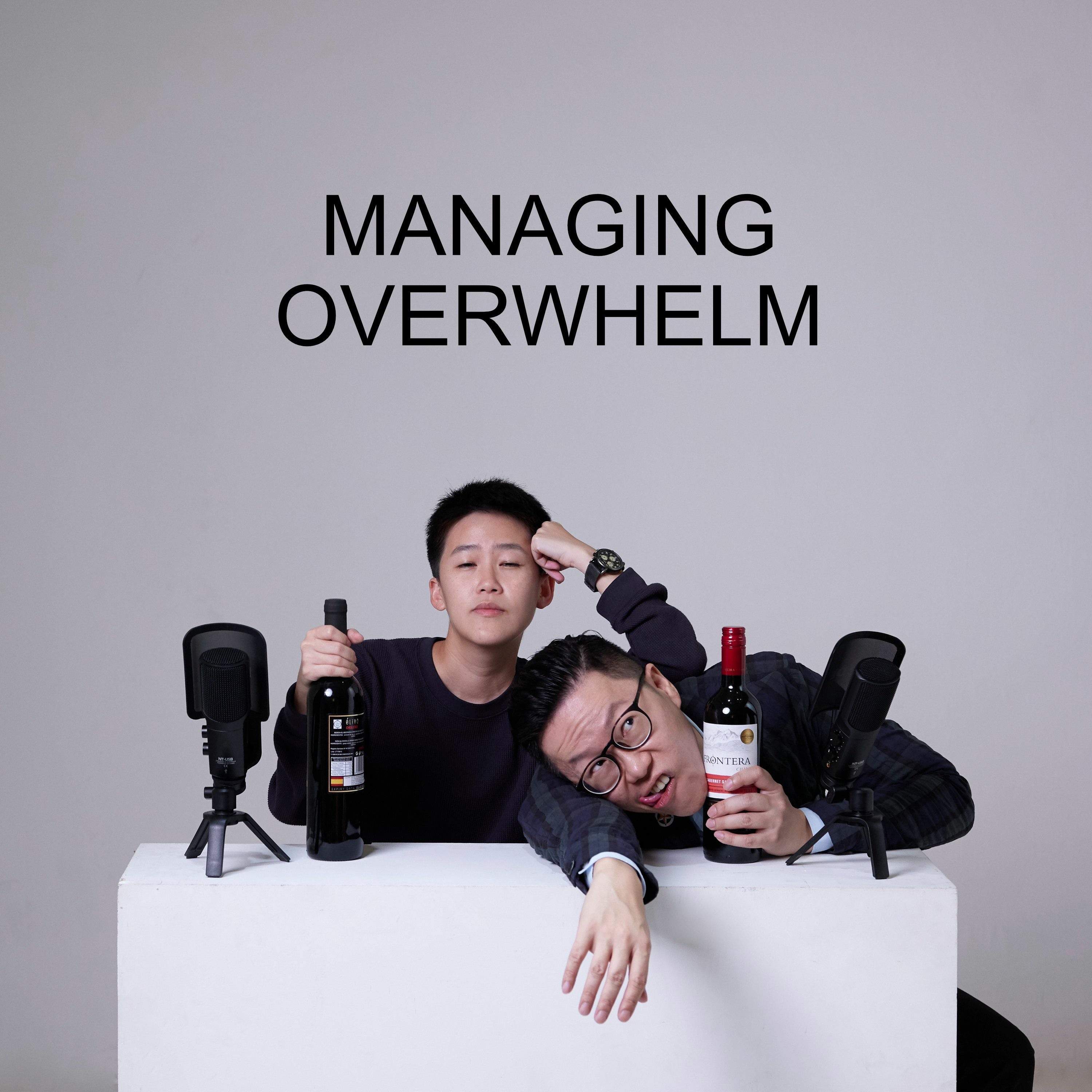 Ep #23 - Managing Overwhelm episode artwork