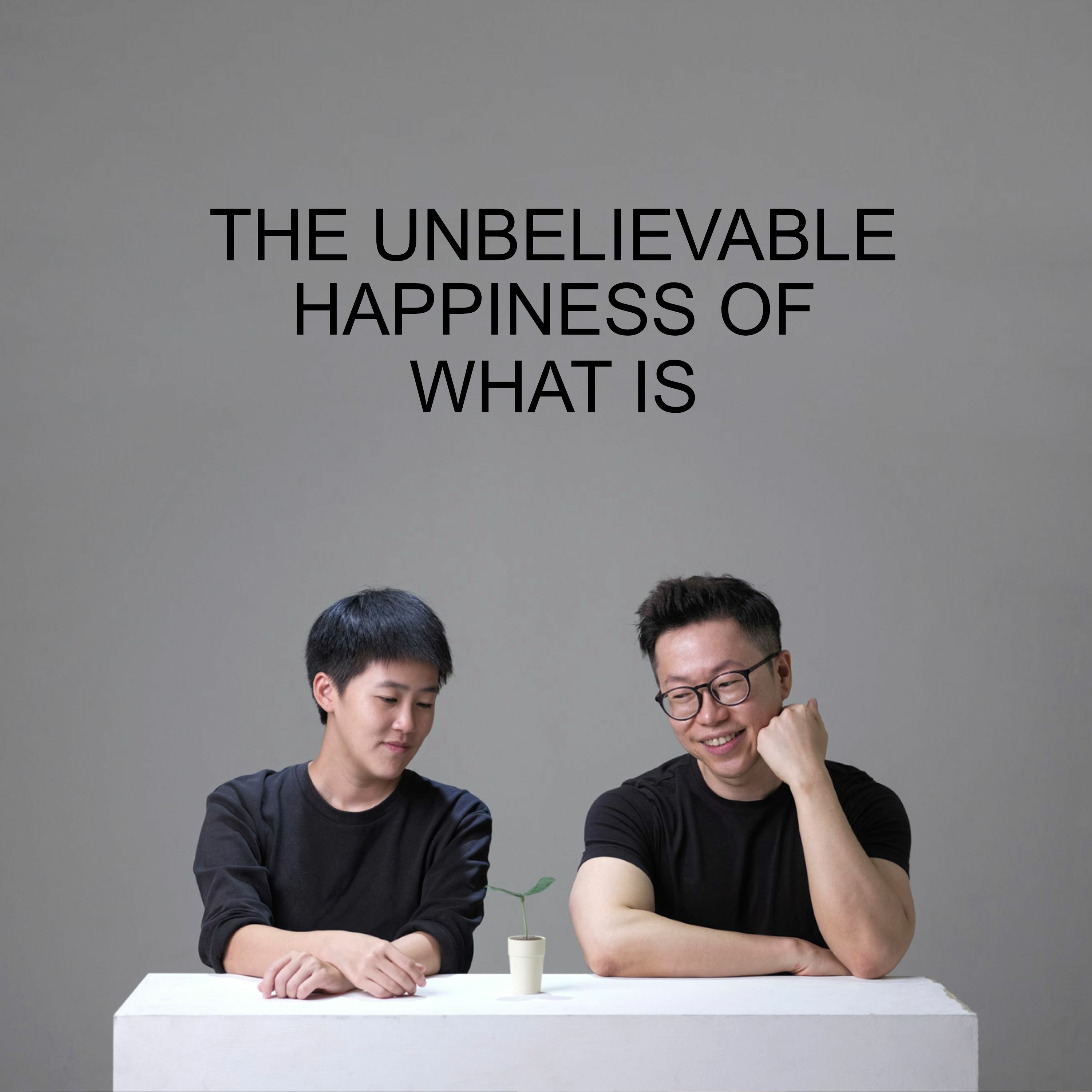 Ep #27 - The Unbelievable Happiness Of What Is episode artwork