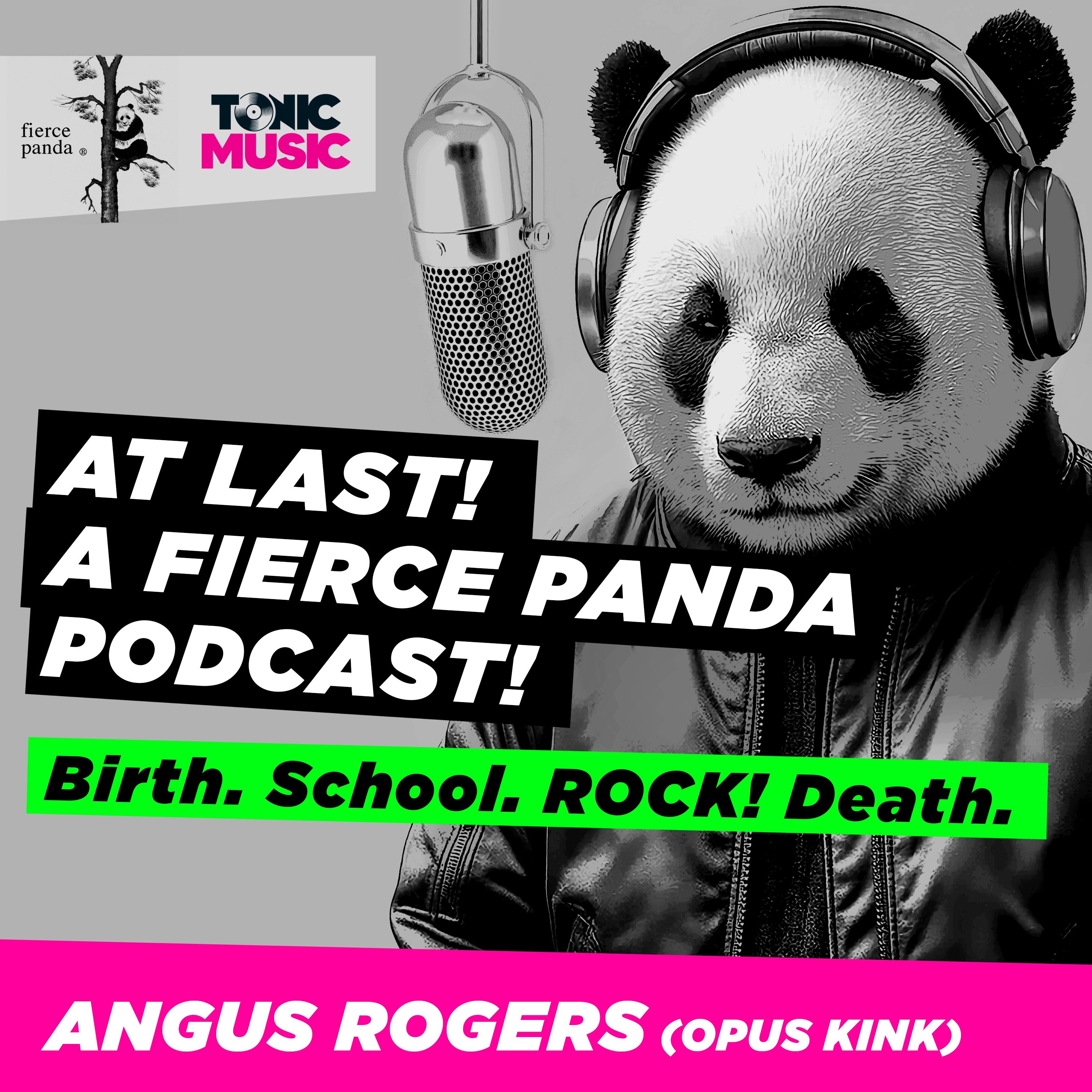 Birth. School. ROCK! Death. A fierce panda podcast