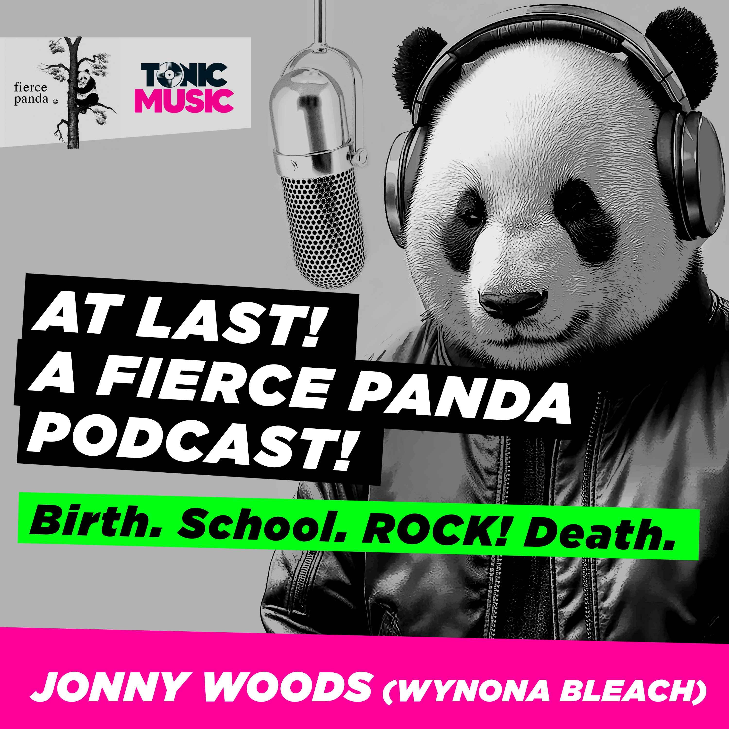 Birth. School. ROCK! Death. A fierce panda podcast