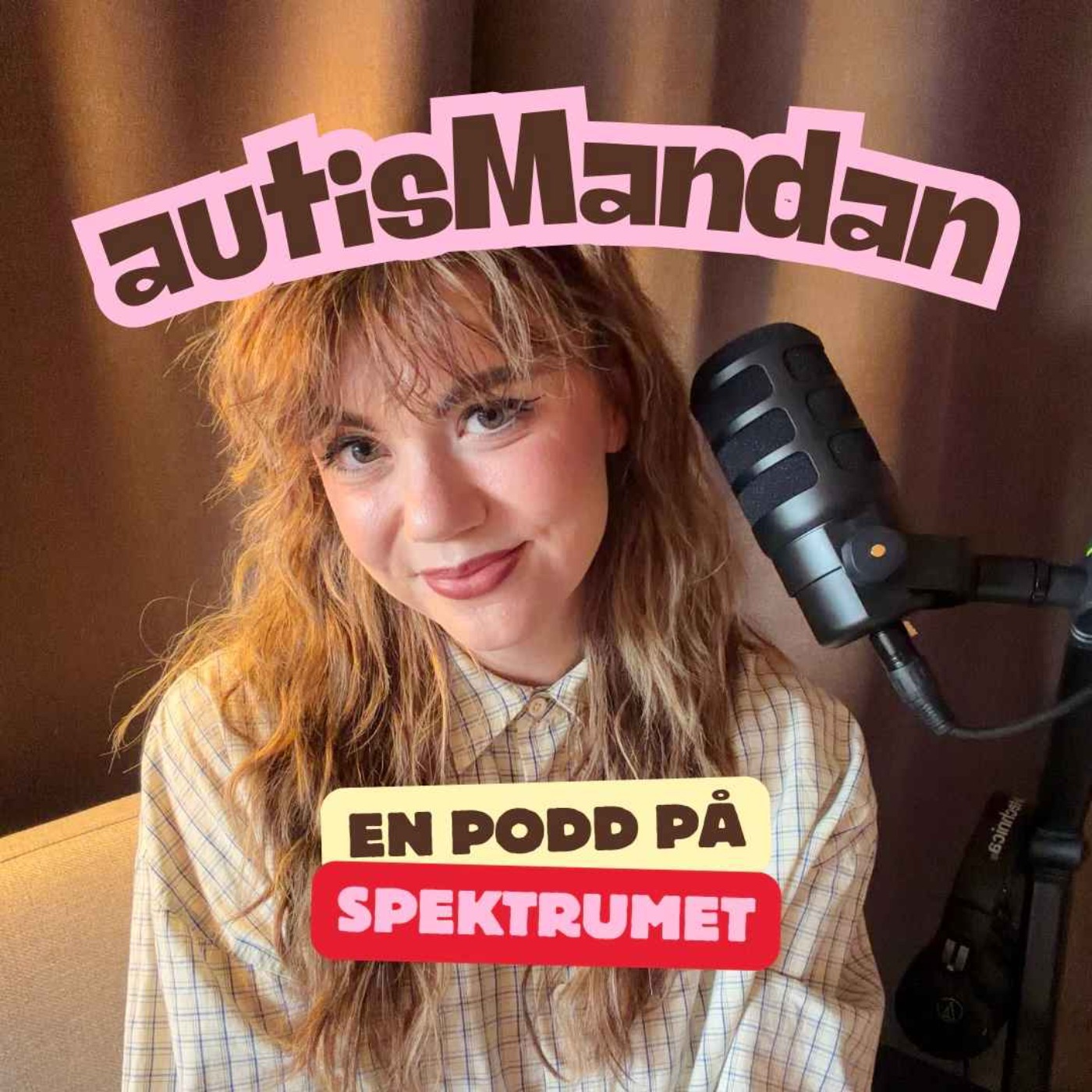 Podcast Image