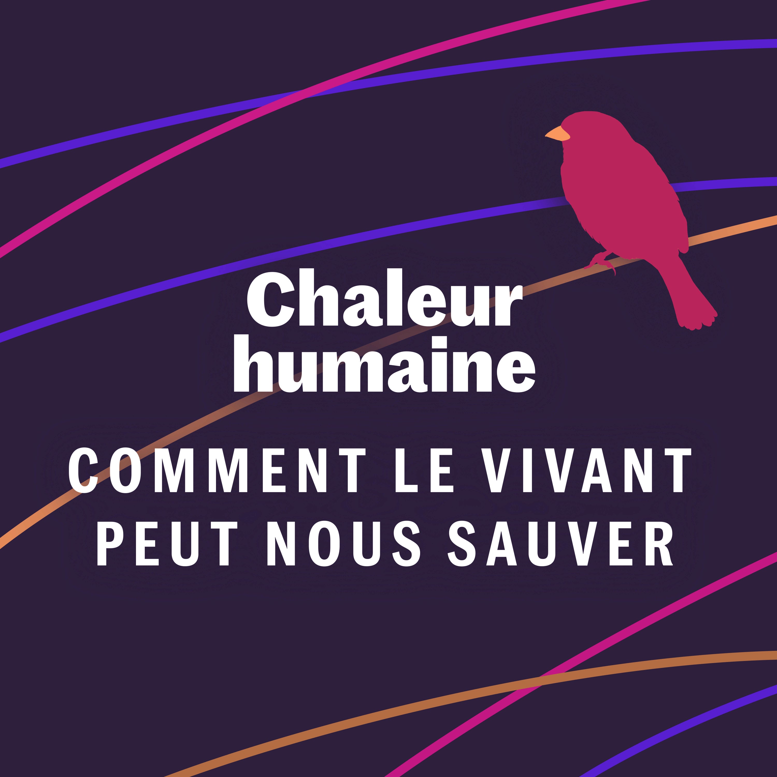 La moule de rivière - Comment le vivant peut nous sauver (2/6)
