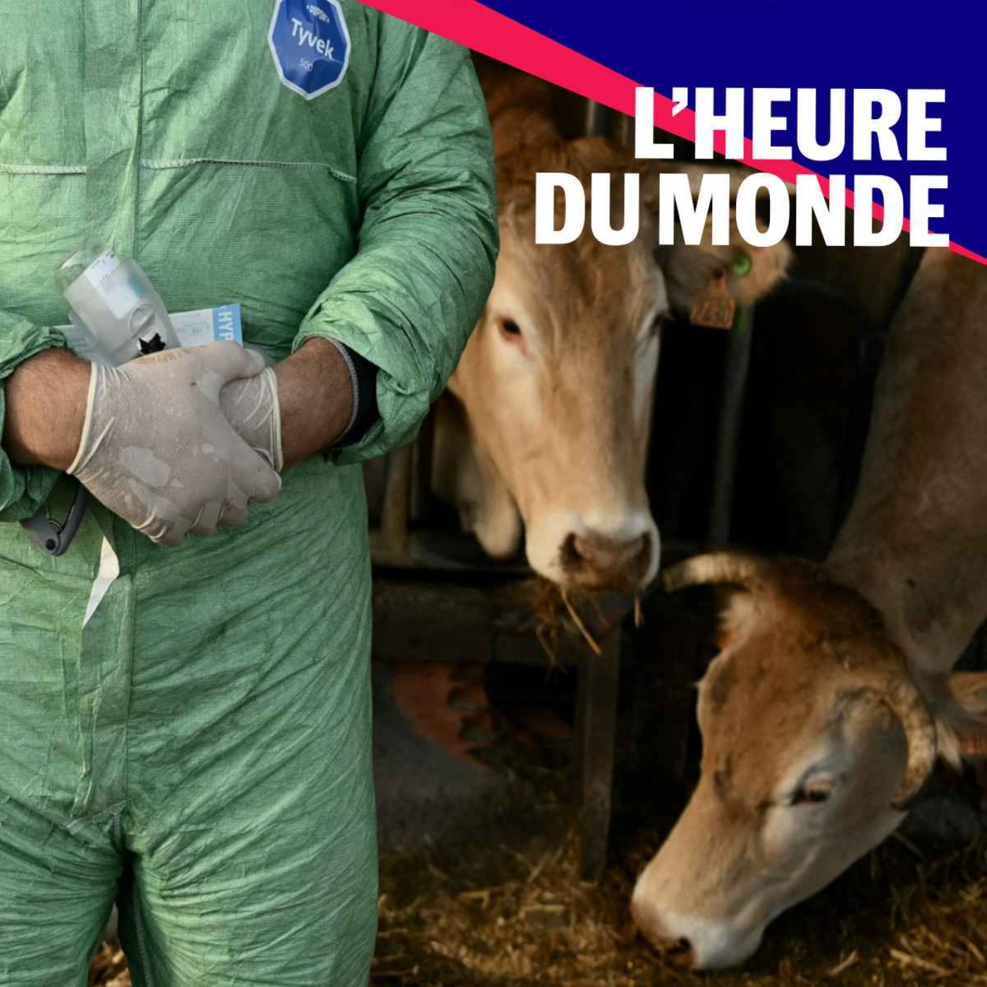 L’Heure du Monde - Pourquoi la dermatose nodulaire alimente la colère des agriculteurs français ?