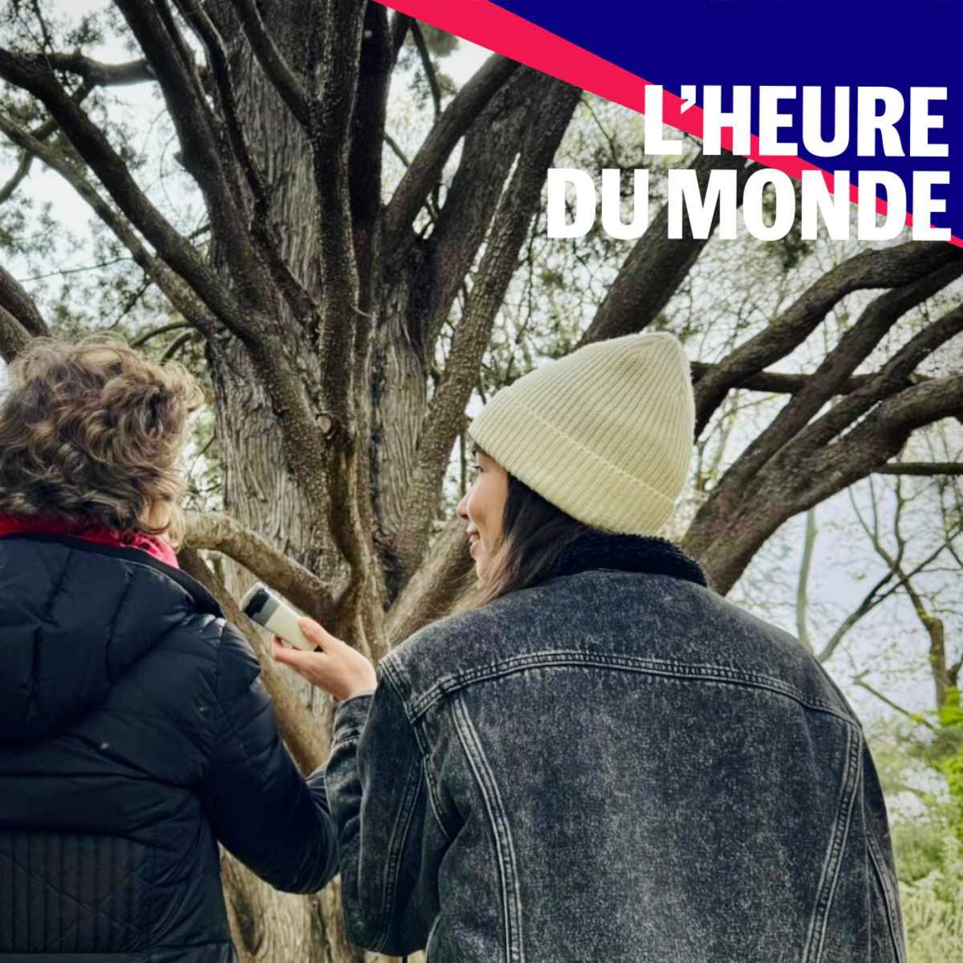 Bienfaits de la nature sur la santé : que dit la science ?