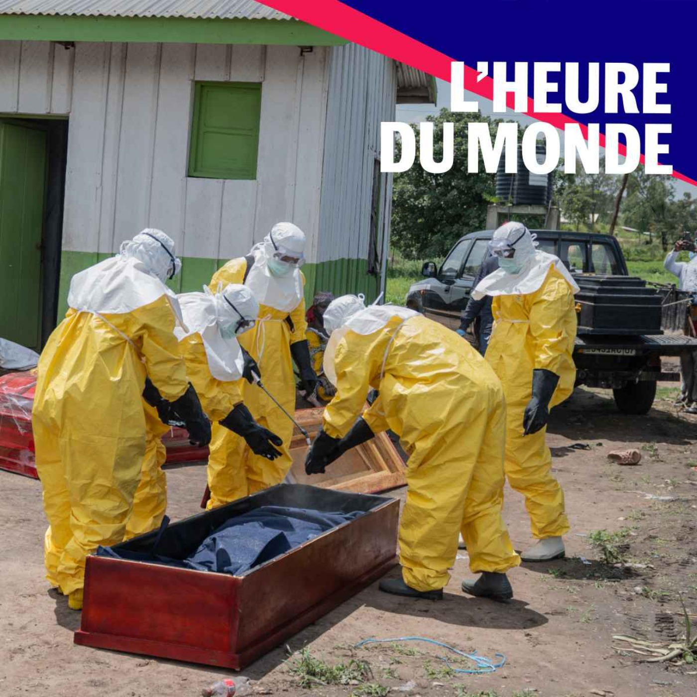 Ebola : ce qu'on sait du virus et du risque de propagation