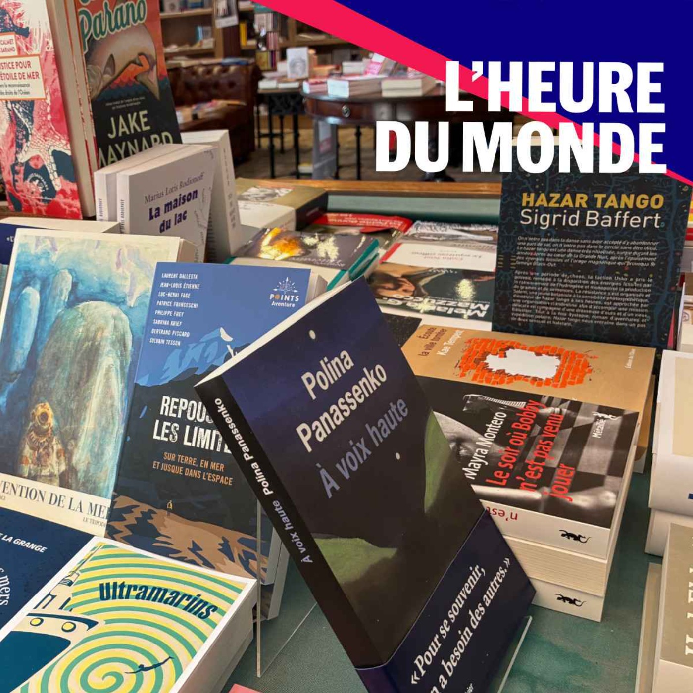 Rentrée littéraire : les coups de cœur du « Monde des livres »