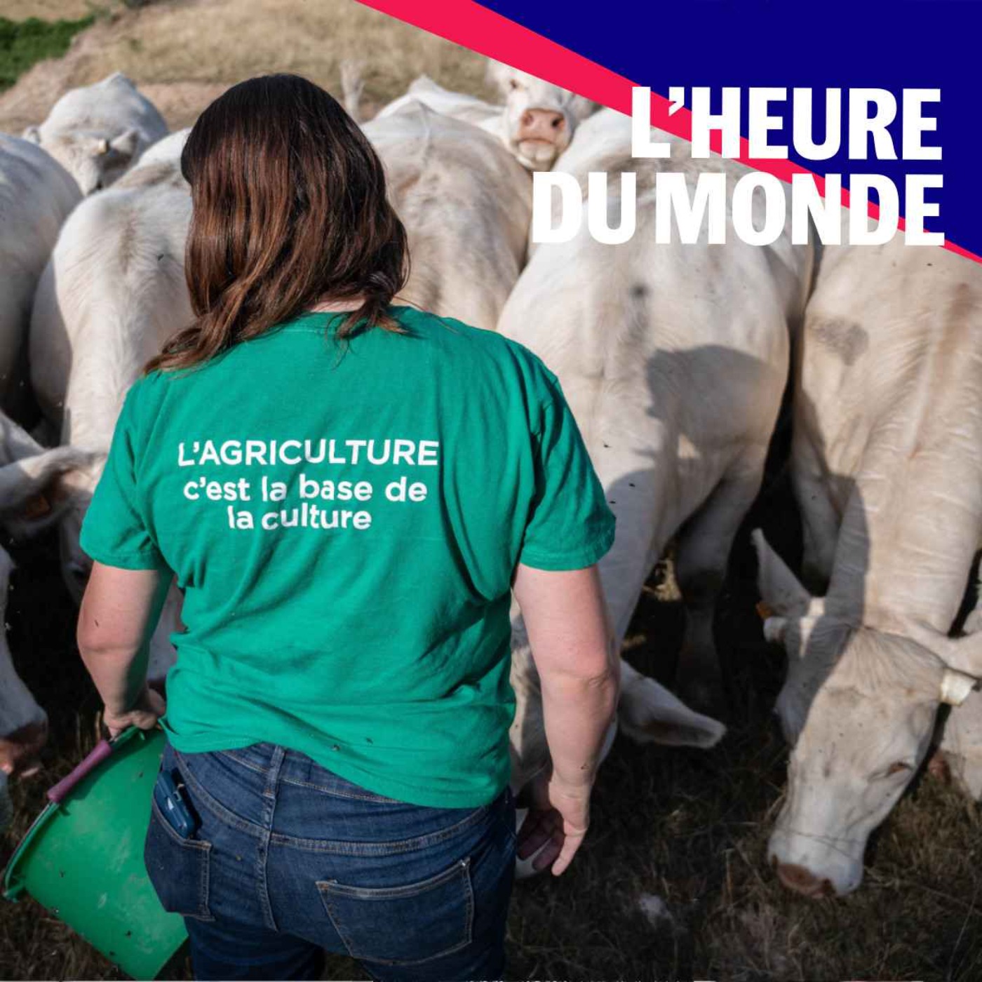 La détresse des agriculteurs face à la crise climatique