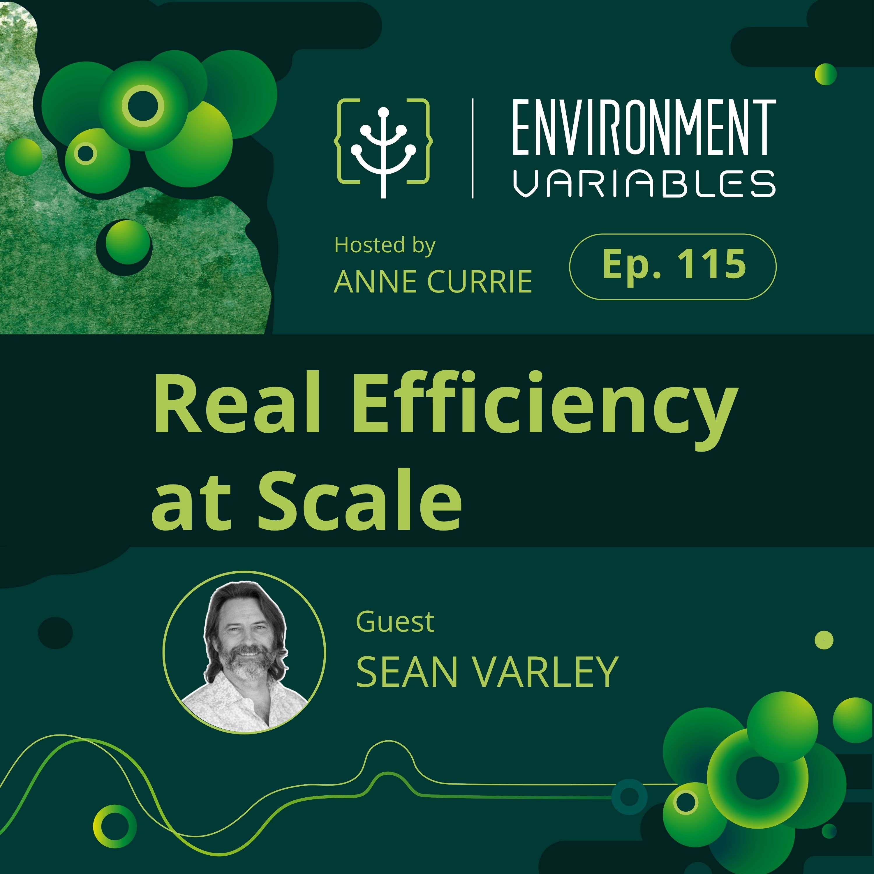 Real Efficiency at Scale with Sean Varley
