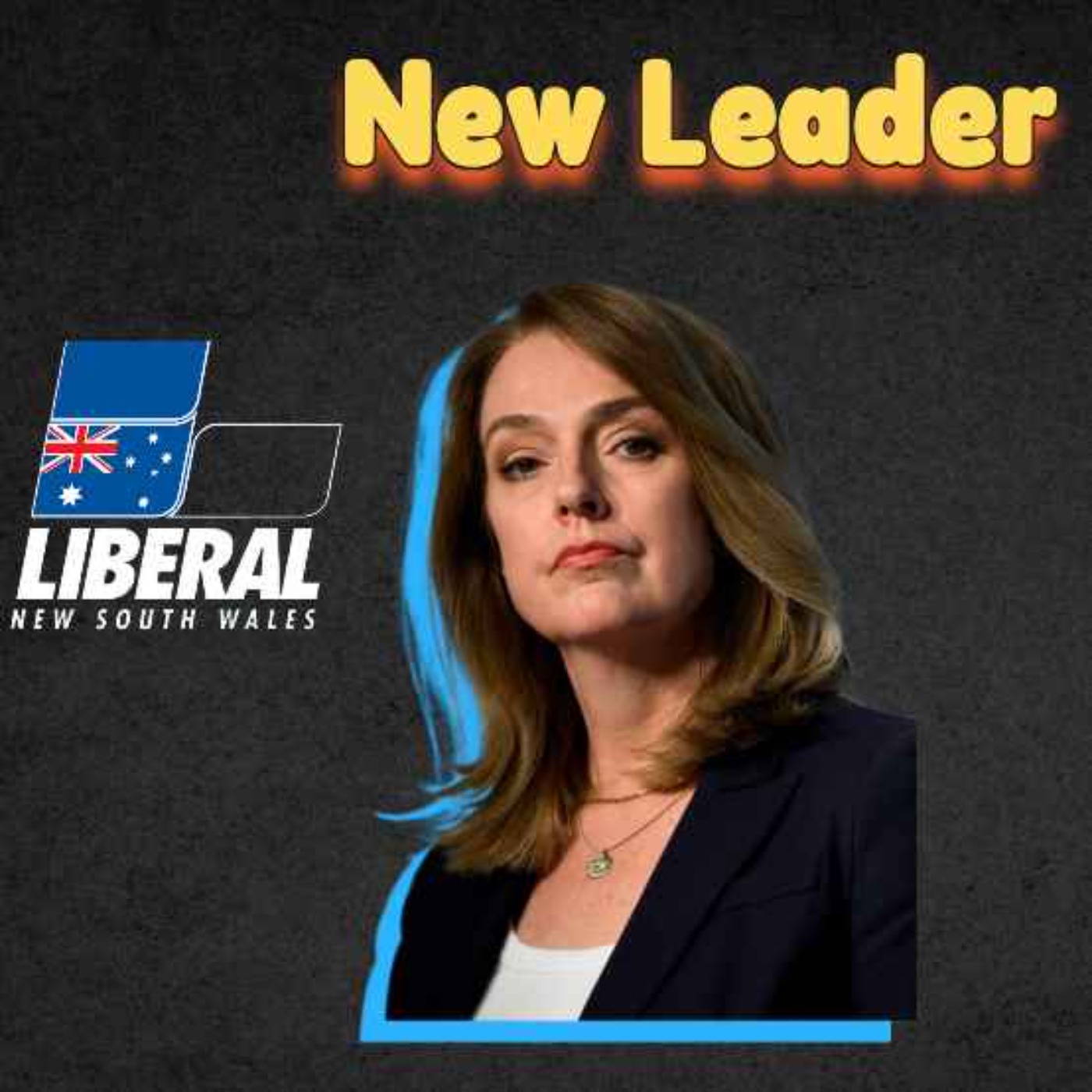 433.Leadership Change for NSW Liberals : Kellie Sloane (S-FM)