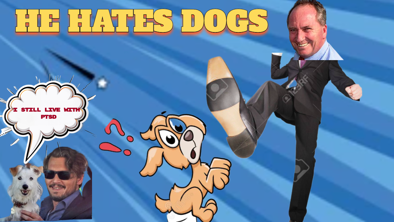 484. Barnaby - GET A DOG UP YA ! (Shawarma FM)