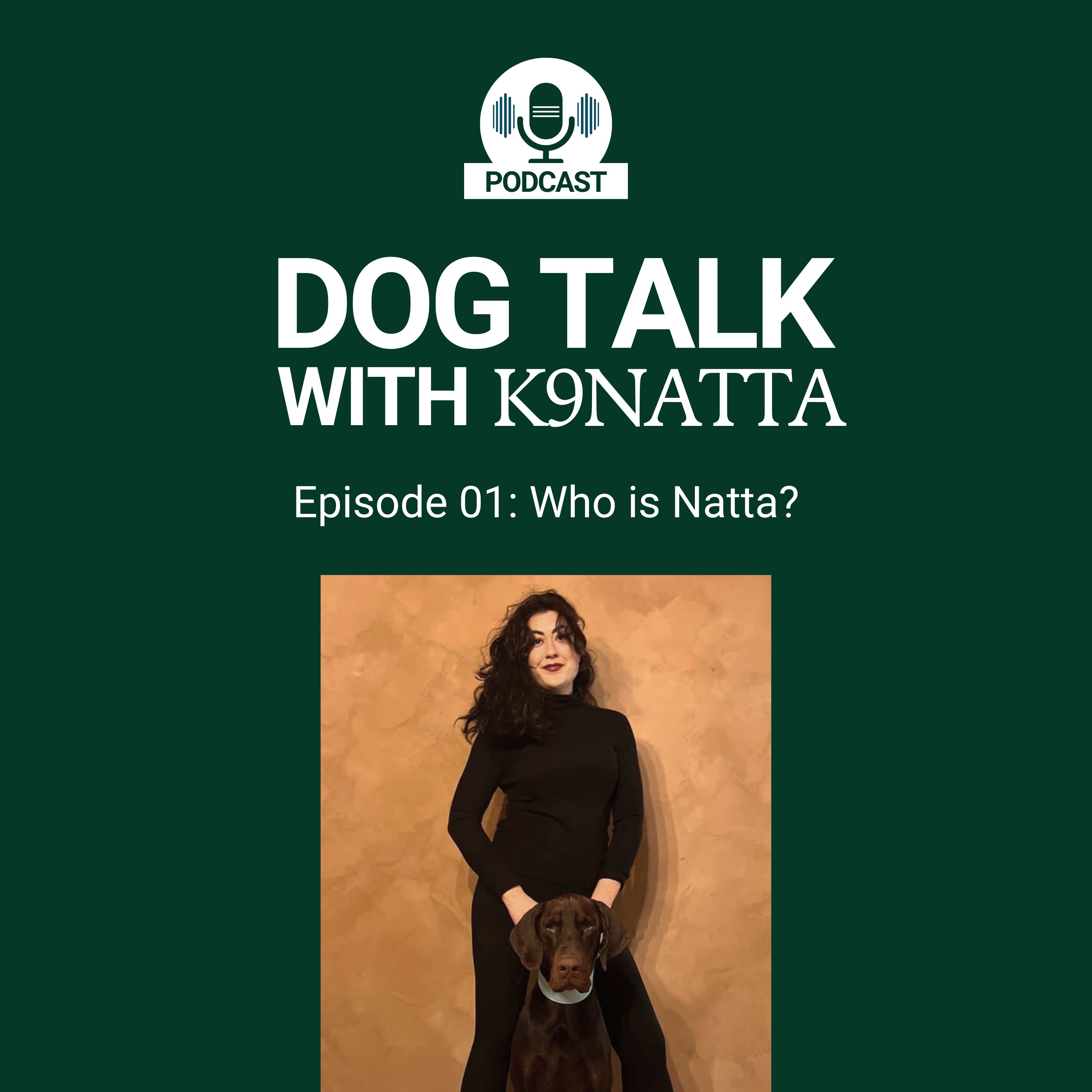 Who is K9NATTA? episode artwork