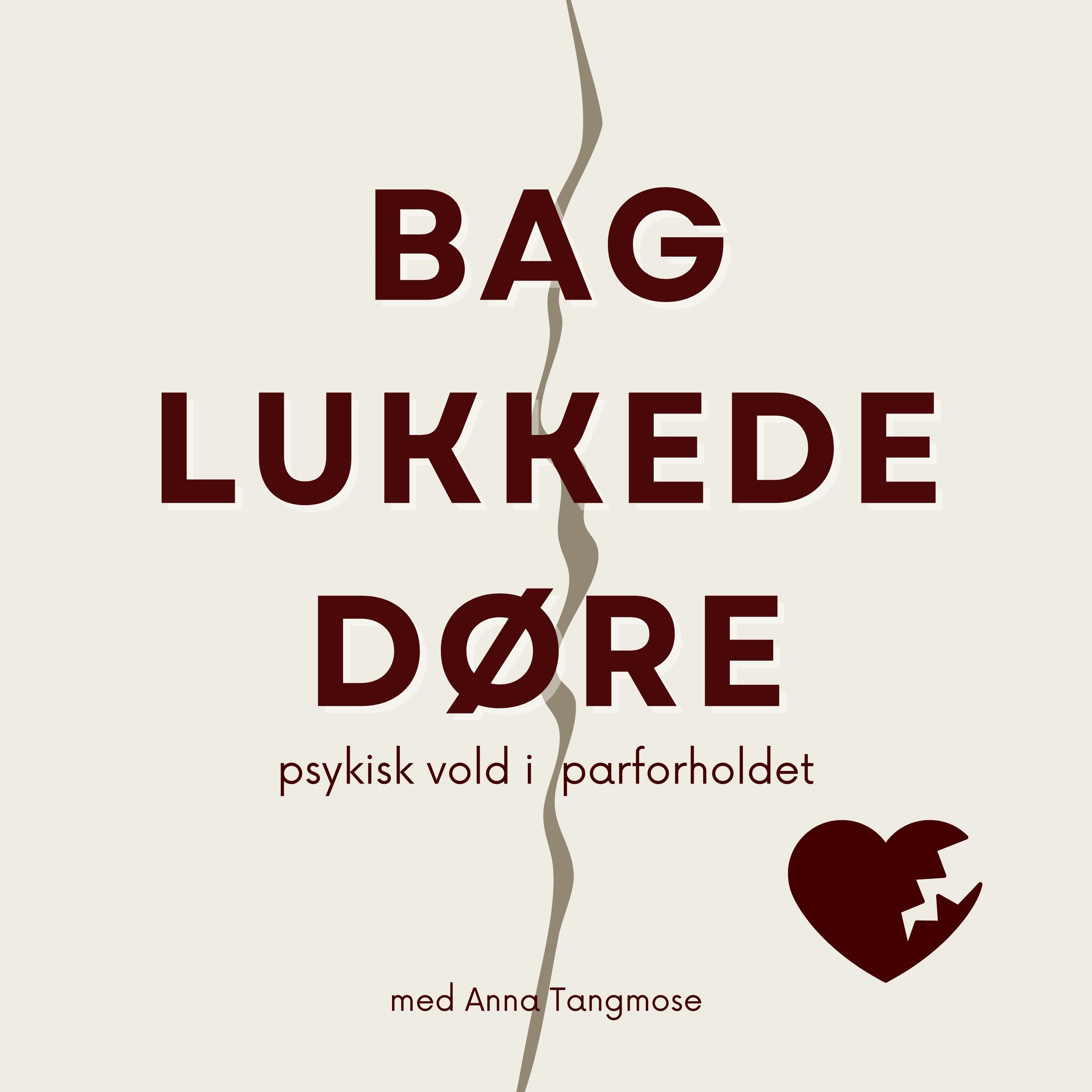 6. Mai-Britts personlige beretning - om at blive udsat for samarbejdschikane og fremmedgørelse - Del 1
