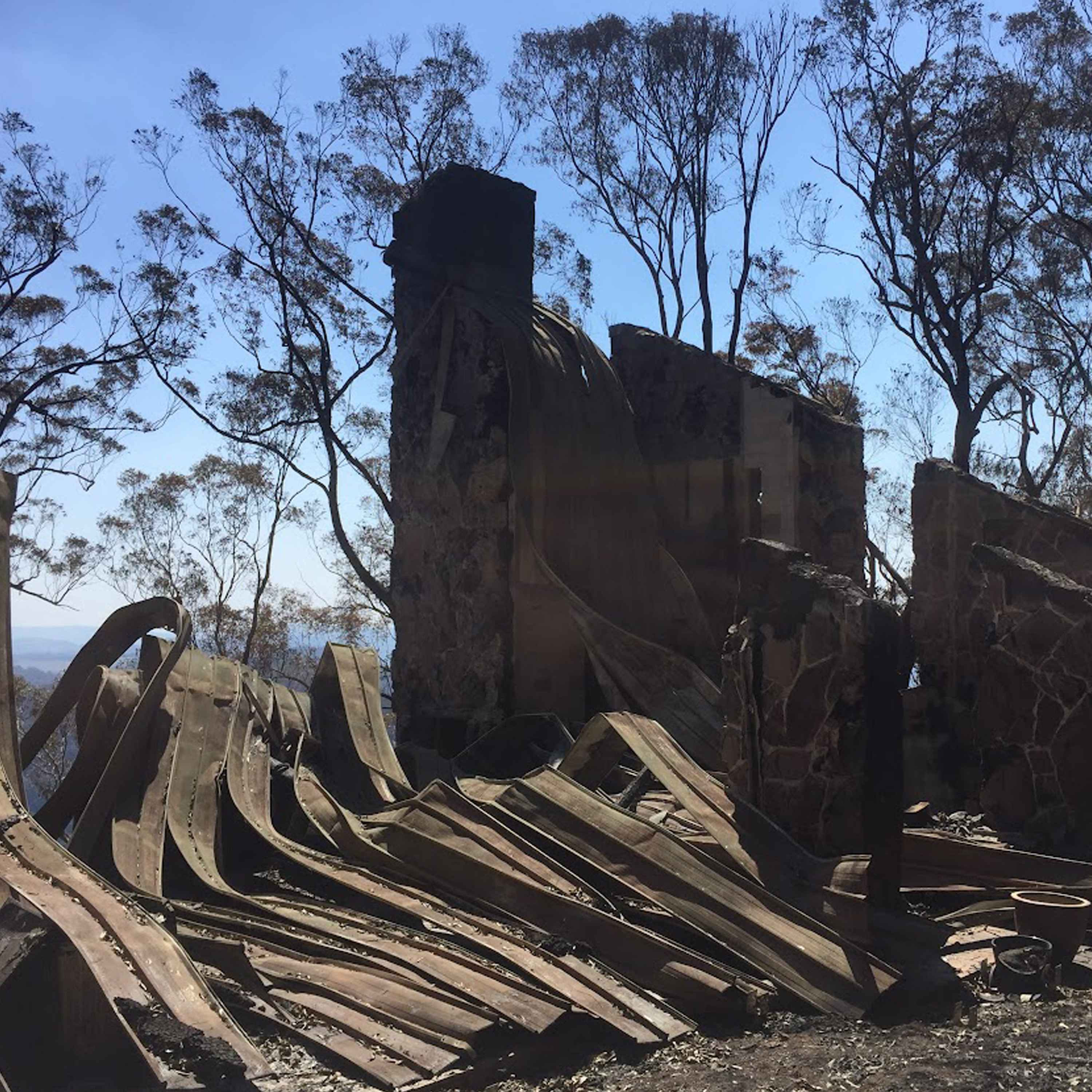 Rainforests Don't Burn