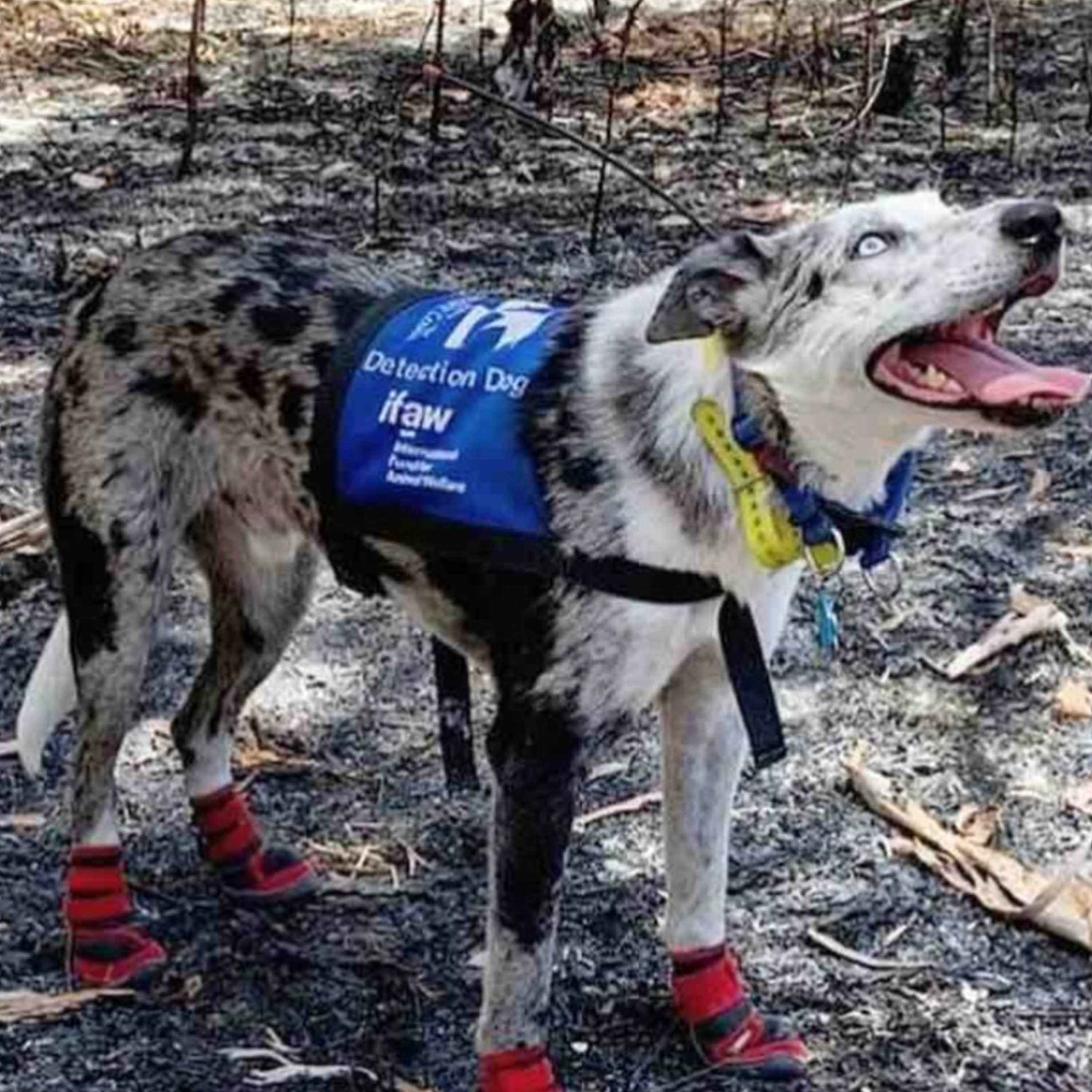 Lessons from the Past